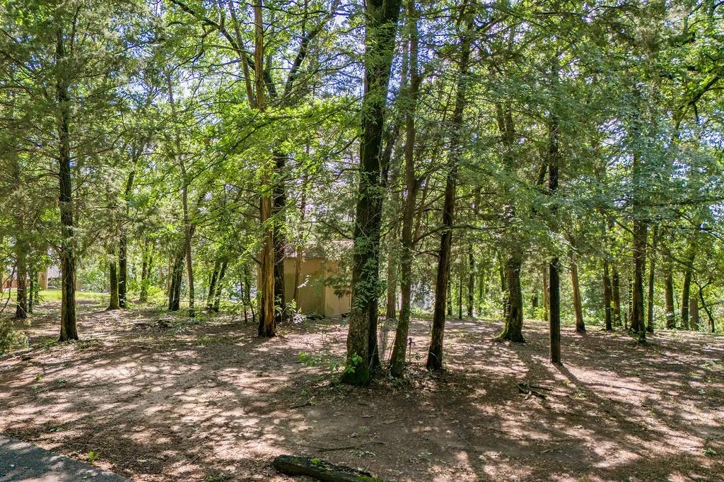 Improved Land For Sale in Franklin (TX) County , 784 Camp Cypress Trail, Winnsboro, Texas 75494, 0, 0, Garage spaces, 0 Sqft, built in 0, mls#21250075, Real Estate Agent in Winnsboro, Homes For Sale in Franklin (TX) county, Homes For Sale in Winnsboro, Realtor in Winnsboro Texas, Real Estate Brokerage Independent Realty Texas, Luminita Cordes Realtor