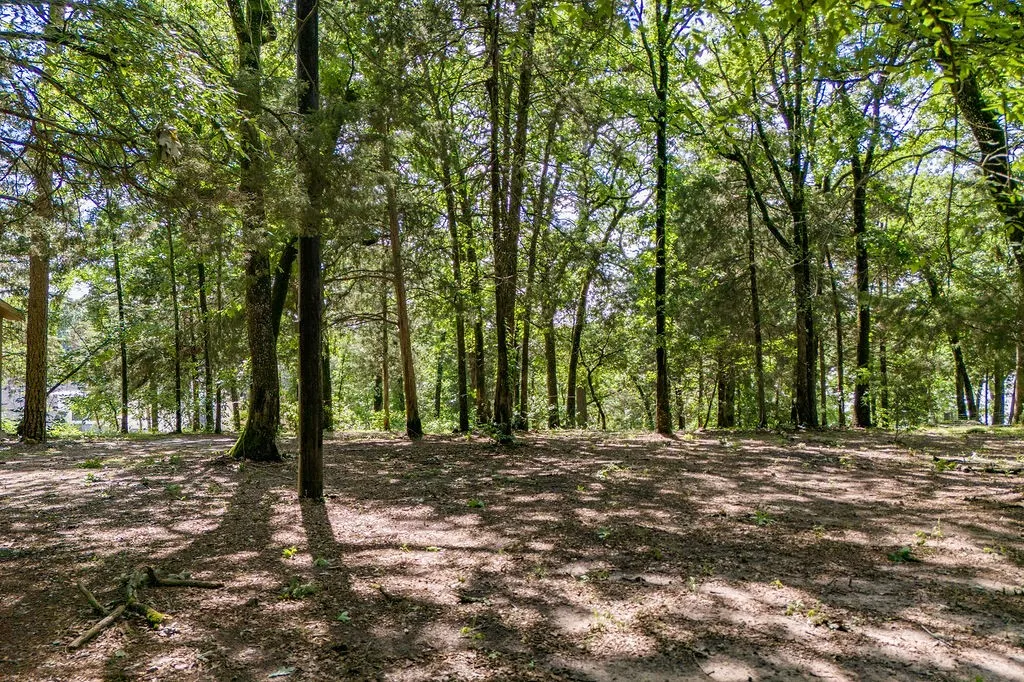 Improved Land For Sale in Franklin (TX) County , 784 Camp Cypress Trail, Winnsboro, Texas 75494, 0, 0, Garage spaces, 0 Sqft, built in 0, mls#21250075, Real Estate Agent in Winnsboro, Homes For Sale in Franklin (TX) county, Homes For Sale in Winnsboro, Realtor in Winnsboro Texas, Real Estate Brokerage Independent Realty Texas, Luminita Cordes Realtor