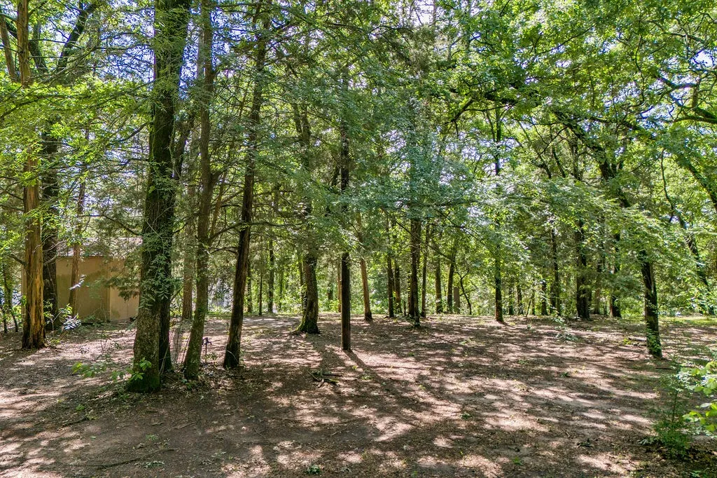 Improved Land For Sale in Franklin (TX) County , 784 Camp Cypress Trail, Winnsboro, Texas 75494, 0, 0, Garage spaces, 0 Sqft, built in 0, mls#21250075, Real Estate Agent in Winnsboro, Homes For Sale in Franklin (TX) county, Homes For Sale in Winnsboro, Realtor in Winnsboro Texas, Real Estate Brokerage Independent Realty Texas, Luminita Cordes Realtor