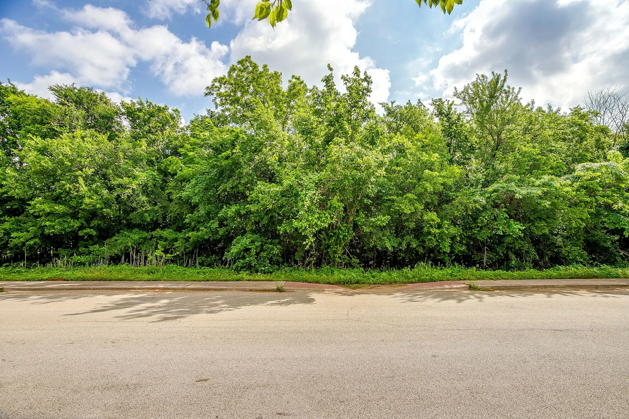 Unimproved Land For Sale in Johnson County , 1193 S Brazos Avenue, Cleburne, Texas 76031, 0, 0, Garage spaces, 0 Sqft, built in 0, mls#21250411, Real Estate Agent in Cleburne, Homes For Sale in Johnson county, Homes For Sale in Cleburne, Realtor in Cleburne Texas, Real Estate Brokerage Independent Realty Texas, Luminita Cordes Realtor