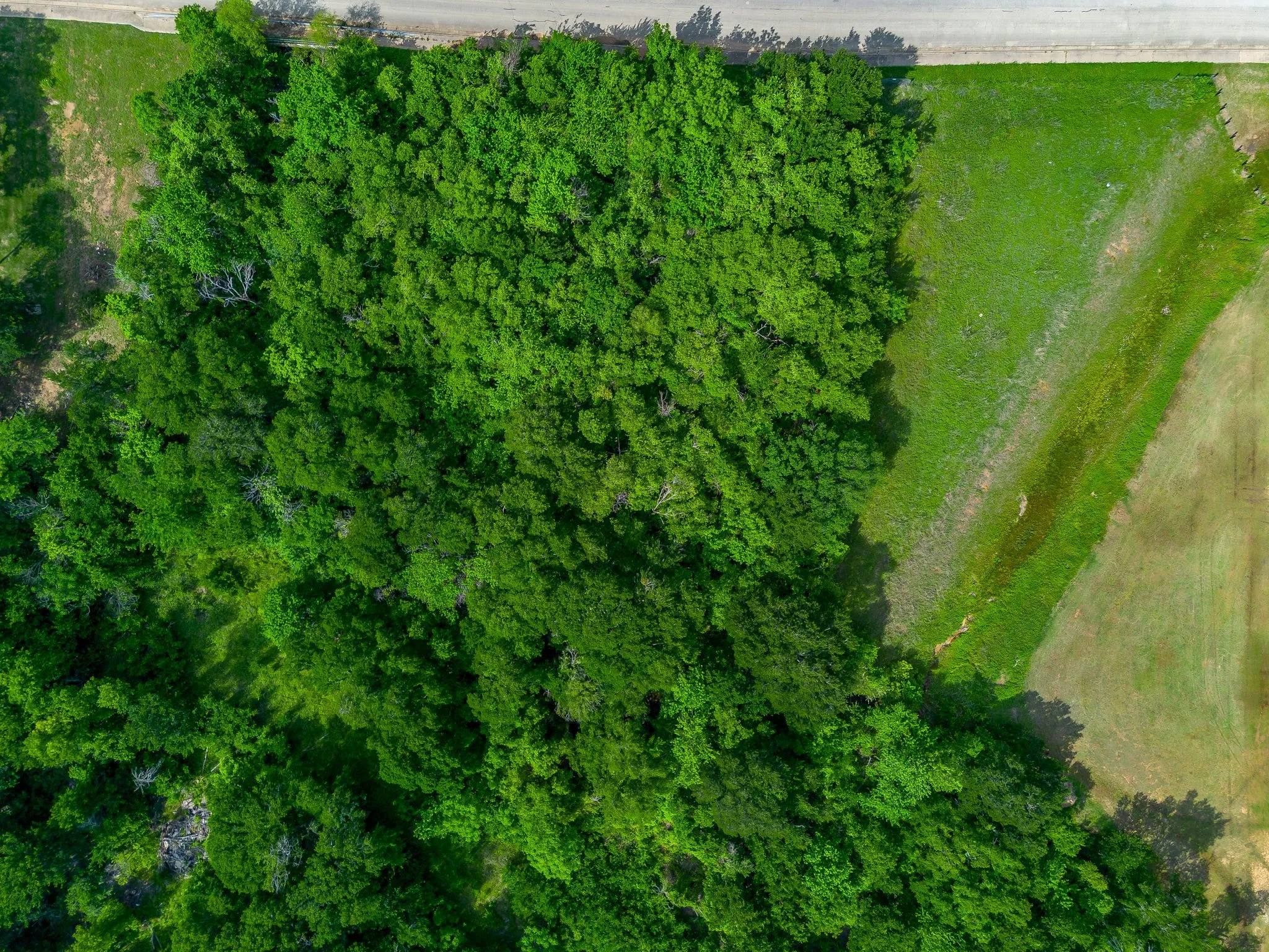 Unimproved Land For Sale in Johnson County , 1193 S Brazos Avenue, Cleburne, Texas 76031, 0, 0, Garage spaces, 0 Sqft, built in 0, mls#21250411, Real Estate Agent in Cleburne, Homes For Sale in Johnson county, Homes For Sale in Cleburne, Realtor in Cleburne Texas, Real Estate Brokerage Independent Realty Texas, Luminita Cordes Realtor