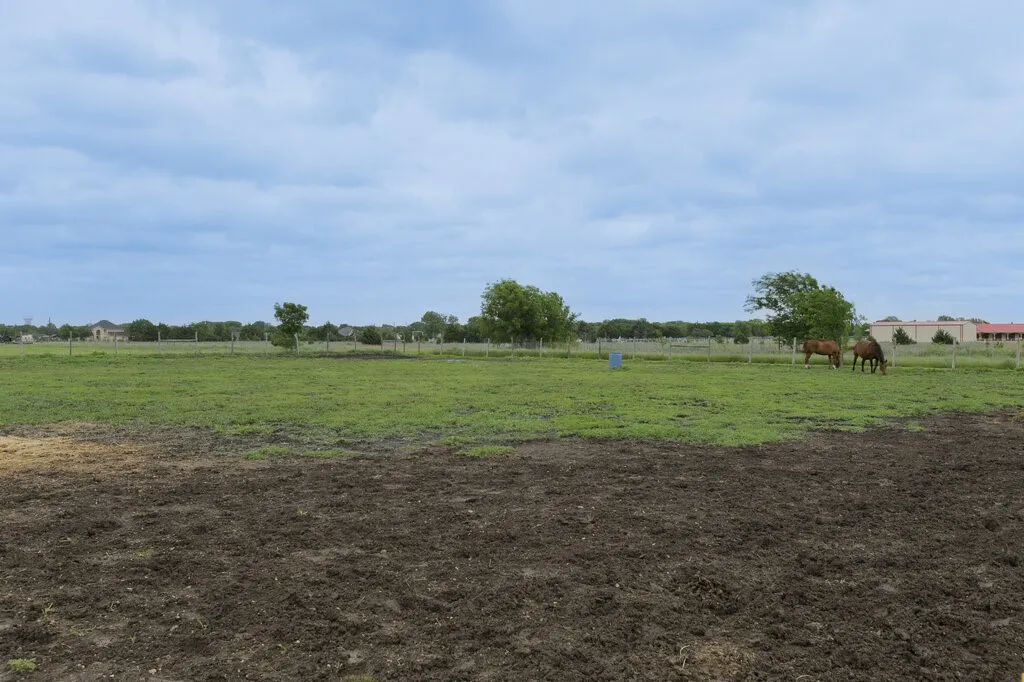 Single Family Residence For Sale in Ellis County , 339 Meadow Lane, Red Oak, Texas 75154, 2 Bedroom, 2 Bathroom, Garage spaces, 1,650 Sqft, built in 1994, Preowned, mls#21250541, Real Estate Agent in Red Oak, Homes For Sale in Ellis county, Homes For Sale in Red Oak, Realtor in Red Oak Texas, Real Estate Brokerage Independent Realty Texas, Luminita Cordes Realtor