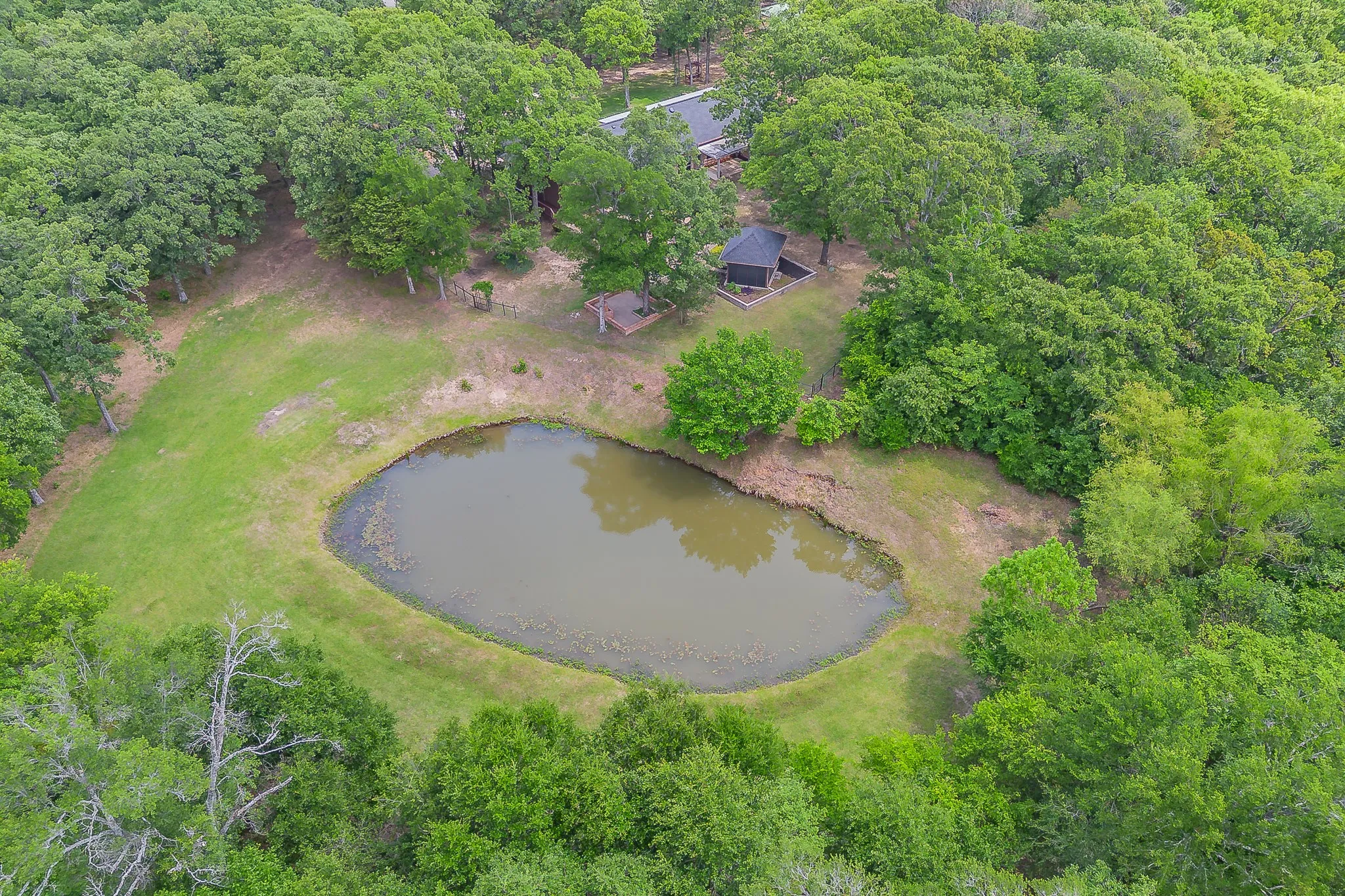 Fishing Pond