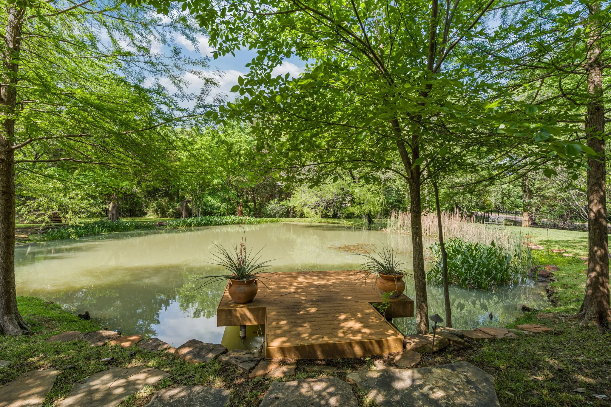 With turtles and ducks enjoying the pond