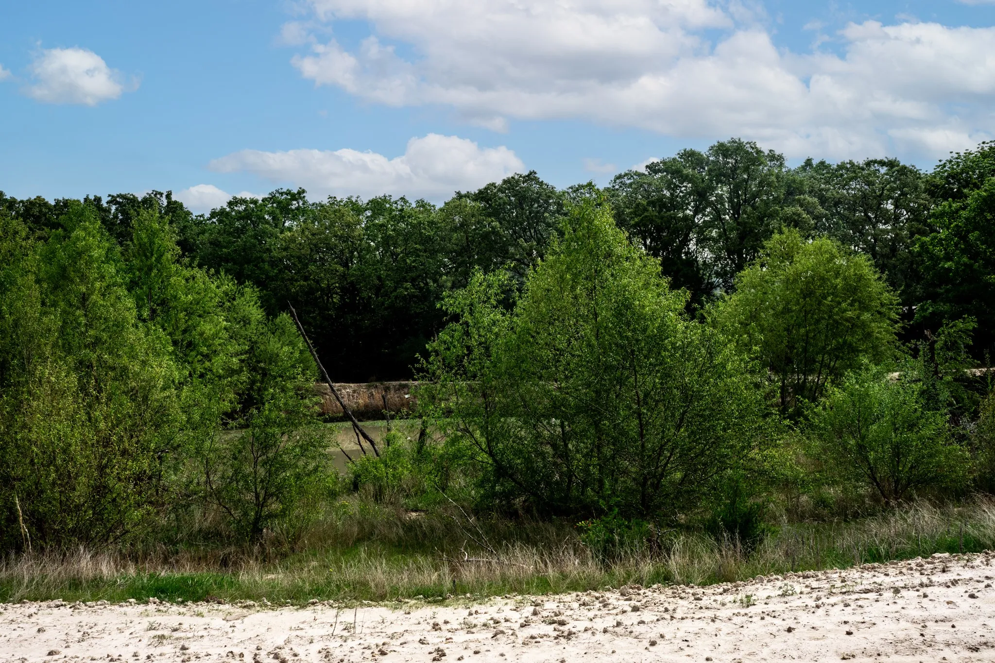 Unimproved Land For Sale in Hunt County , 000 FM 2101, Quinlan, Texas 75474, 0, 0, Garage spaces, 0 Sqft, built in 0, mls#21246899, Real Estate Agent in Quinlan, Homes For Sale in Hunt county, Homes For Sale in Quinlan, Realtor in Quinlan Texas, Real Estate Brokerage Independent Realty Texas, Luminita Cordes Realtor