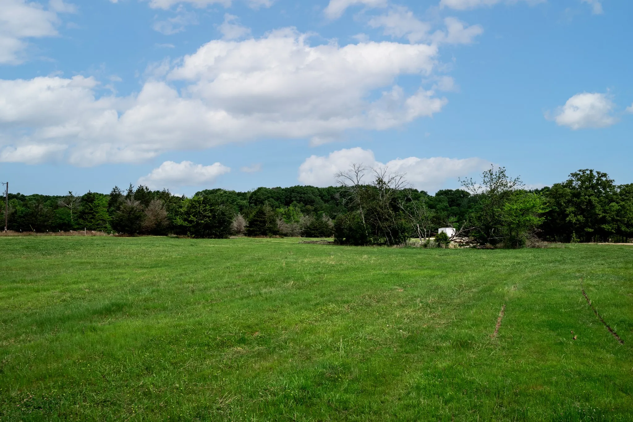 Unimproved Land For Sale in Hunt County , 000 FM 2101, Quinlan, Texas 75474, 0, 0, Garage spaces, 0 Sqft, built in 0, mls#21246899, Real Estate Agent in Quinlan, Homes For Sale in Hunt county, Homes For Sale in Quinlan, Realtor in Quinlan Texas, Real Estate Brokerage Independent Realty Texas, Luminita Cordes Realtor