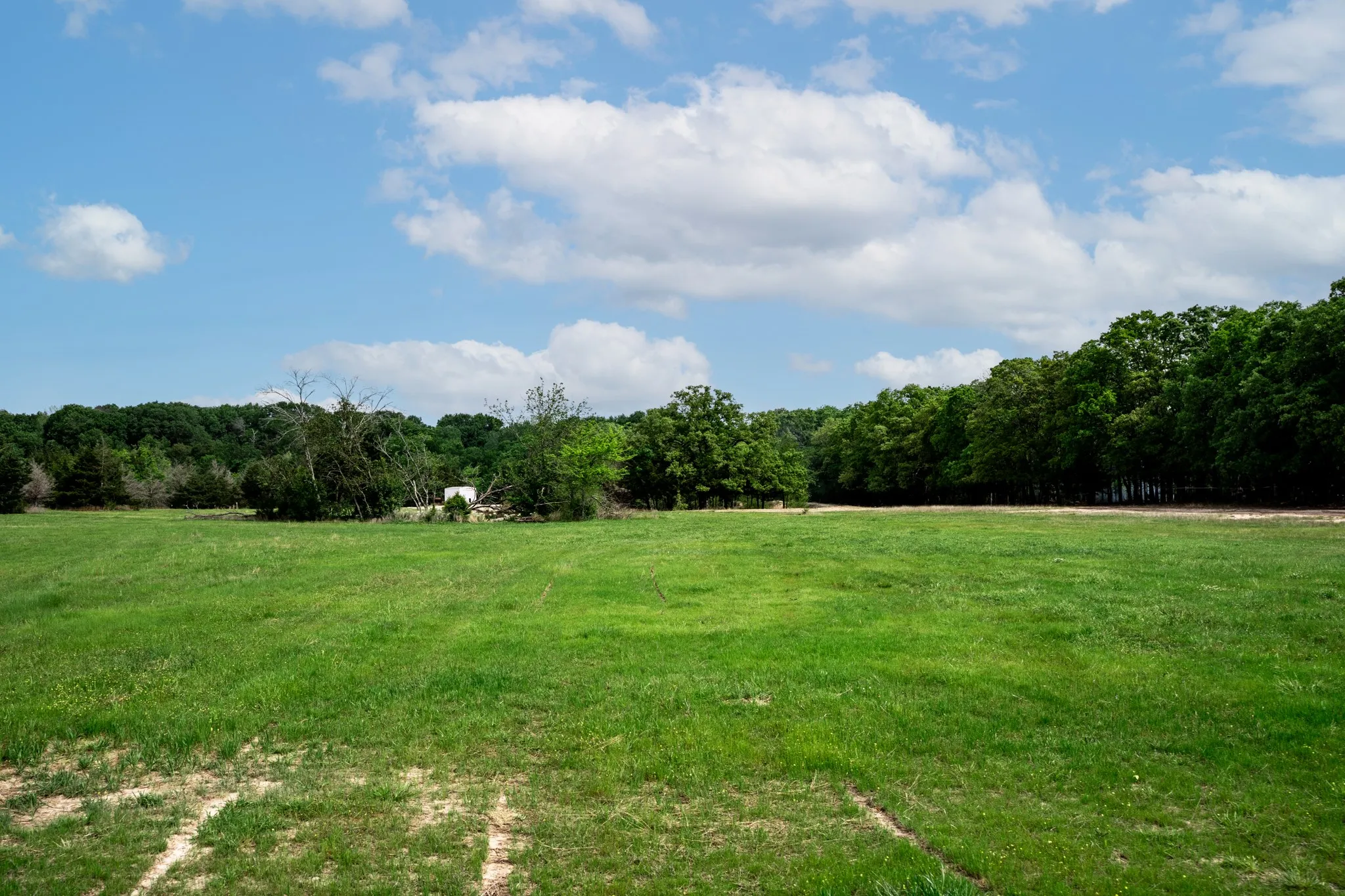 Unimproved Land For Sale in Hunt County , 000 FM 2101, Quinlan, Texas 75474, 0, 0, Garage spaces, 0 Sqft, built in 0, mls#21246899, Real Estate Agent in Quinlan, Homes For Sale in Hunt county, Homes For Sale in Quinlan, Realtor in Quinlan Texas, Real Estate Brokerage Independent Realty Texas, Luminita Cordes Realtor