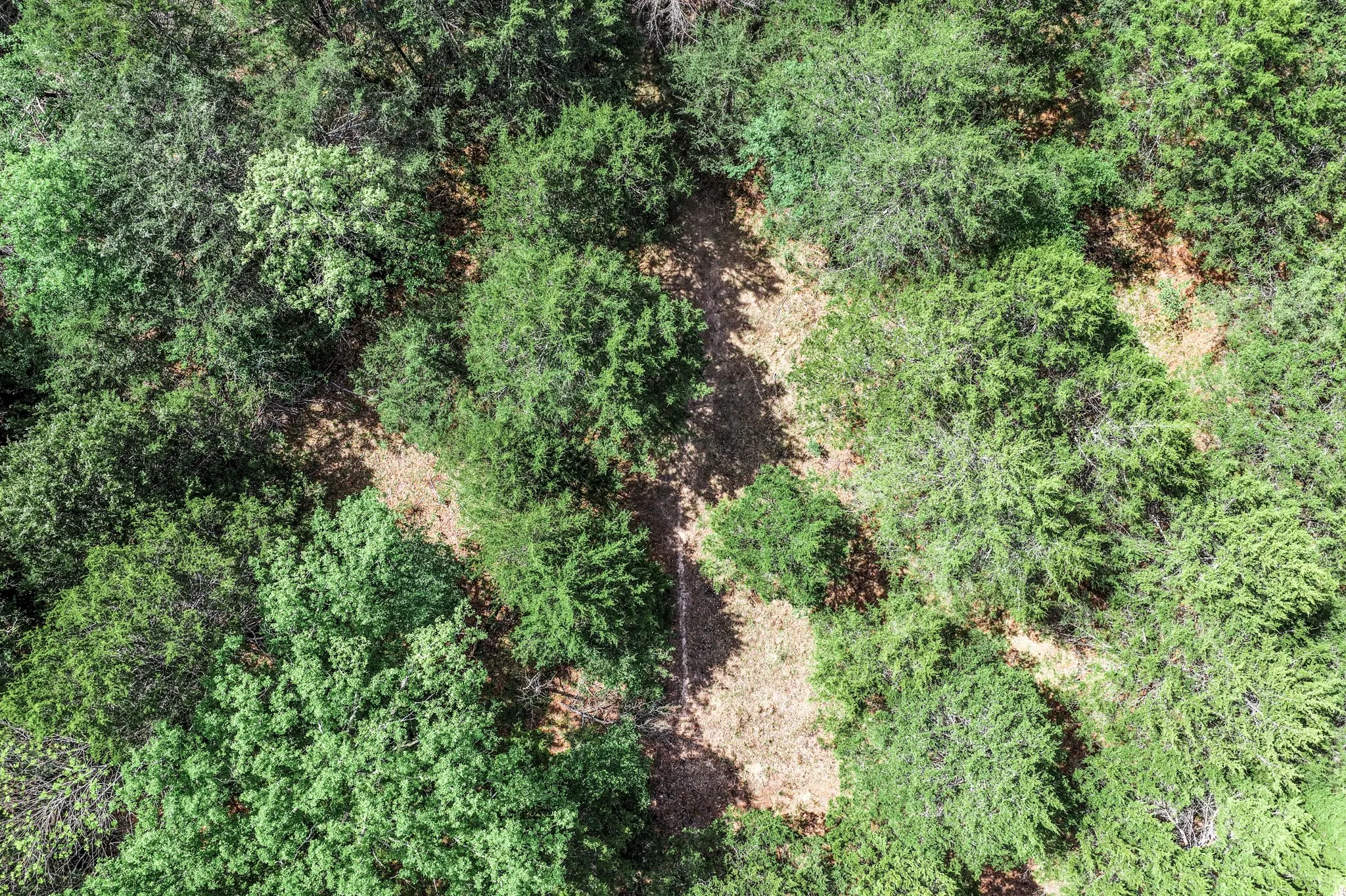 Unimproved Land For Sale in Hunt County , 000 FM 2101, Quinlan, Texas 75474, 0, 0, Garage spaces, 0 Sqft, built in 0, mls#21246899, Real Estate Agent in Quinlan, Homes For Sale in Hunt county, Homes For Sale in Quinlan, Realtor in Quinlan Texas, Real Estate Brokerage Independent Realty Texas, Luminita Cordes Realtor