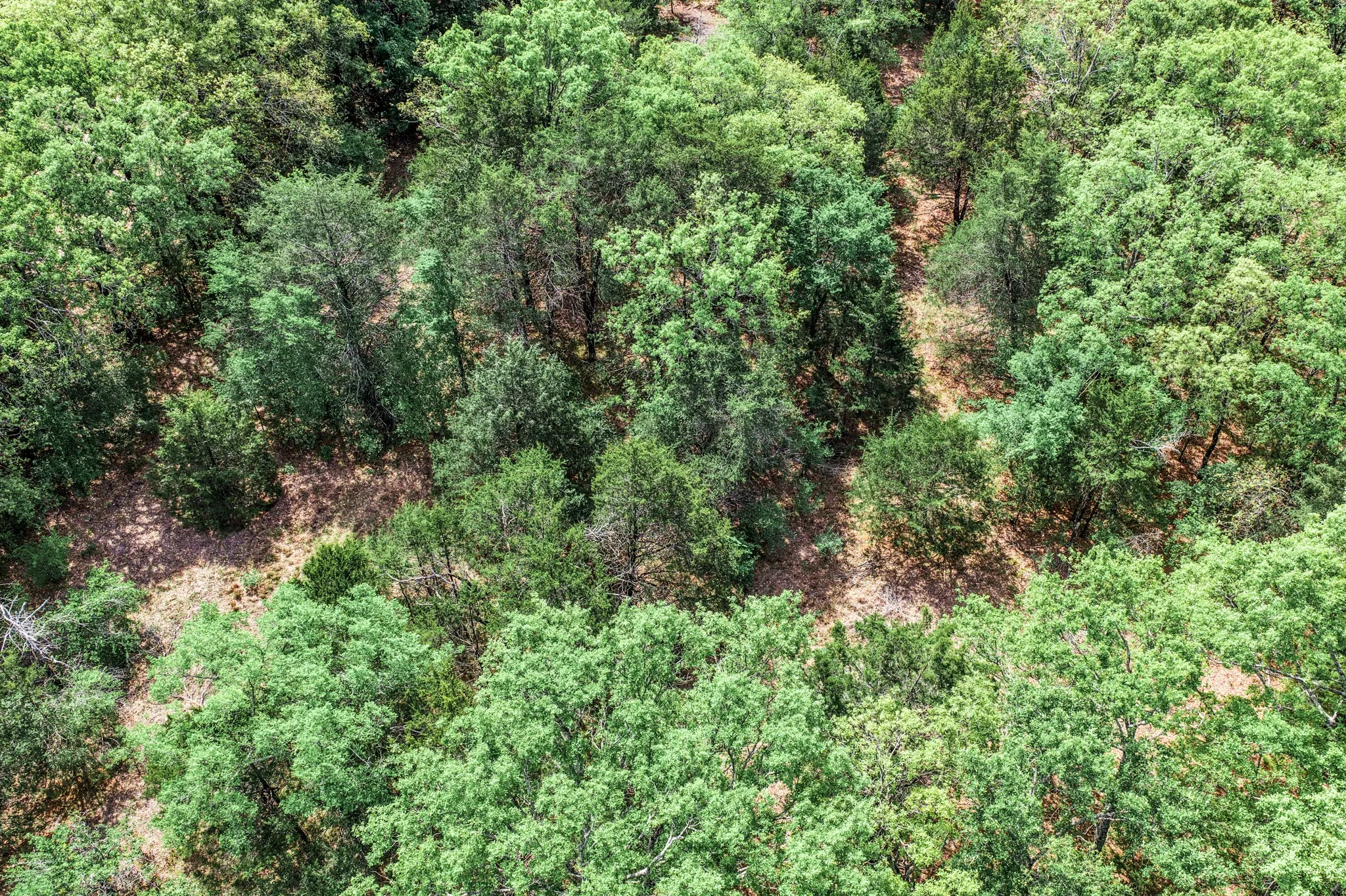 Unimproved Land For Sale in Hunt County , 000 FM 2101, Quinlan, Texas 75474, 0, 0, Garage spaces, 0 Sqft, built in 0, mls#21246899, Real Estate Agent in Quinlan, Homes For Sale in Hunt county, Homes For Sale in Quinlan, Realtor in Quinlan Texas, Real Estate Brokerage Independent Realty Texas, Luminita Cordes Realtor