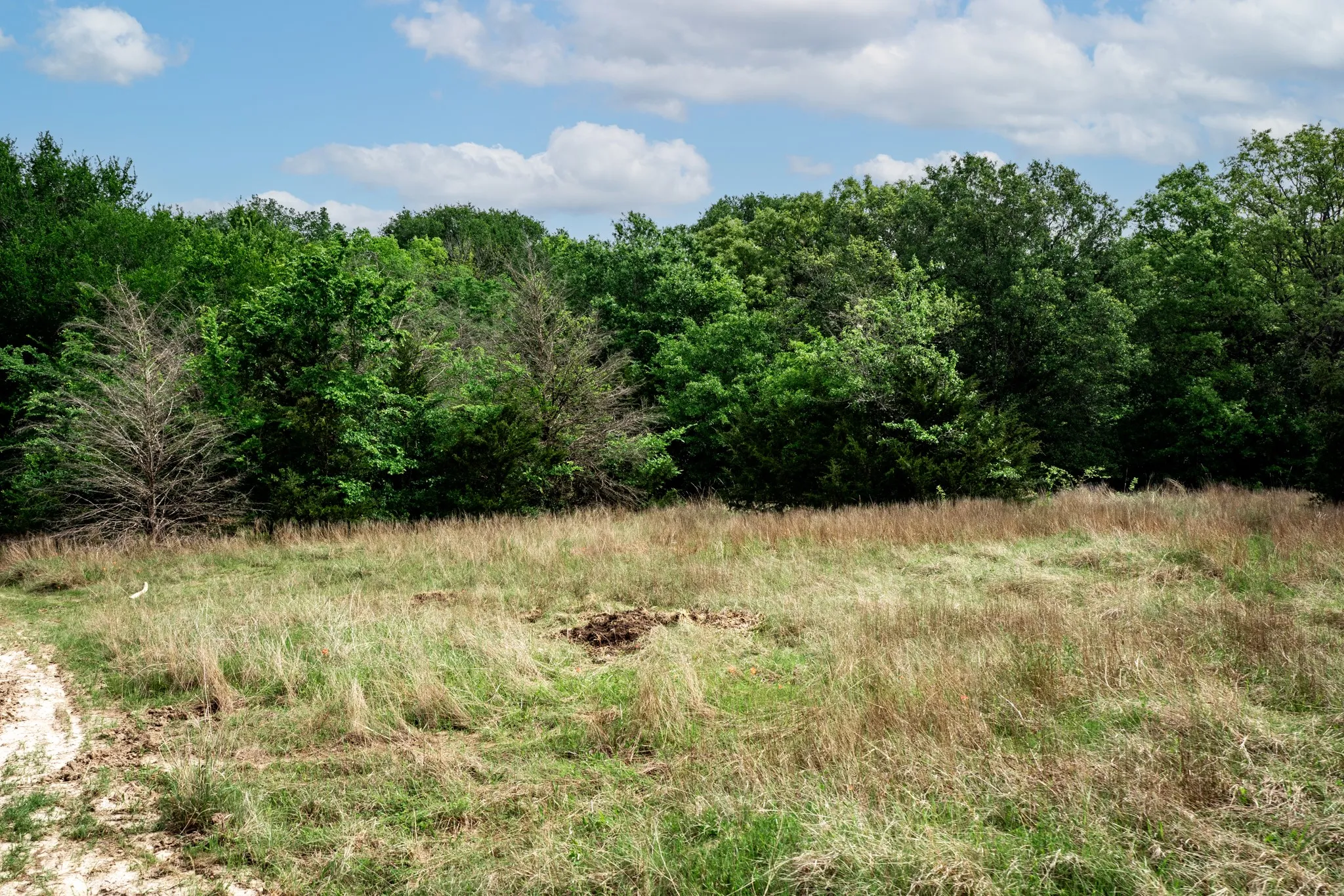 Unimproved Land For Sale in Hunt County , 000 FM 2101, Quinlan, Texas 75474, 0, 0, Garage spaces, 0 Sqft, built in 0, mls#21246899, Real Estate Agent in Quinlan, Homes For Sale in Hunt county, Homes For Sale in Quinlan, Realtor in Quinlan Texas, Real Estate Brokerage Independent Realty Texas, Luminita Cordes Realtor