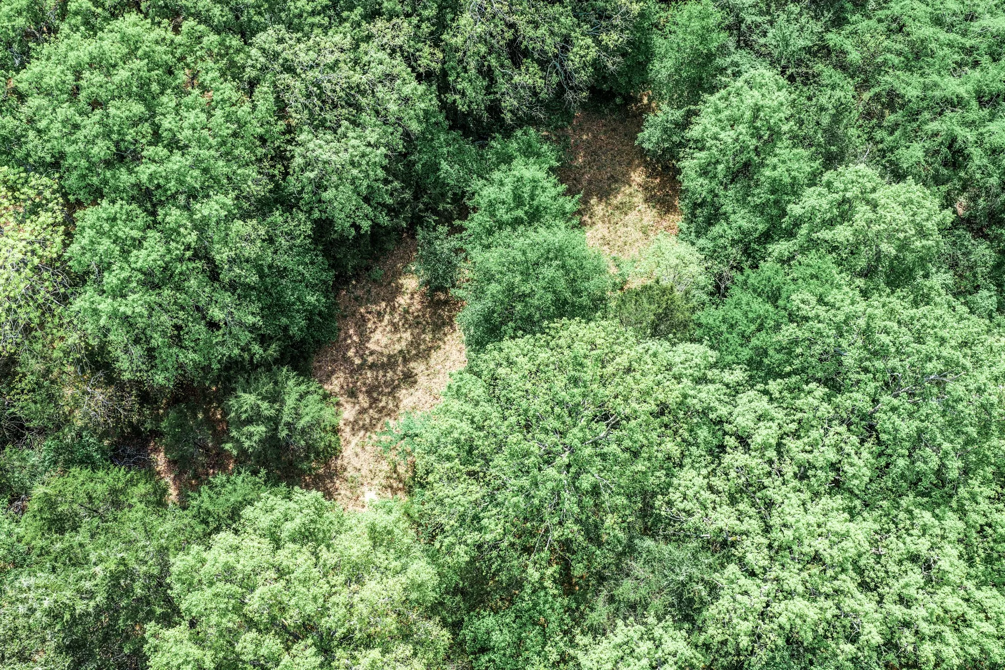 Unimproved Land For Sale in Hunt County , 000 FM 2101, Quinlan, Texas 75474, 0, 0, Garage spaces, 0 Sqft, built in 0, mls#21246899, Real Estate Agent in Quinlan, Homes For Sale in Hunt county, Homes For Sale in Quinlan, Realtor in Quinlan Texas, Real Estate Brokerage Independent Realty Texas, Luminita Cordes Realtor