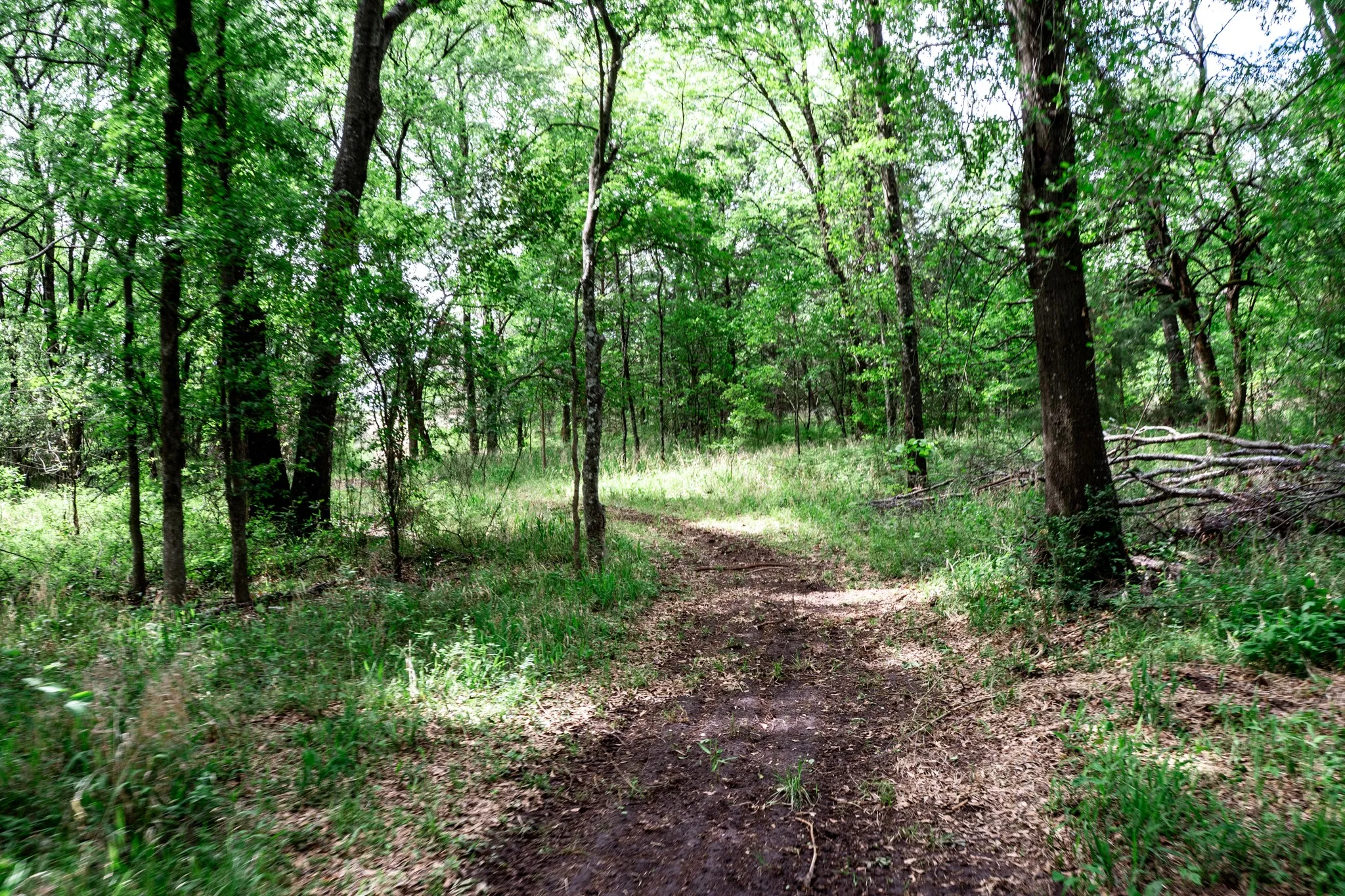 Unimproved Land For Sale in Hunt County , 000 FM 2101, Quinlan, Texas 75474, 0, 0, Garage spaces, 0 Sqft, built in 0, mls#21246899, Real Estate Agent in Quinlan, Homes For Sale in Hunt county, Homes For Sale in Quinlan, Realtor in Quinlan Texas, Real Estate Brokerage Independent Realty Texas, Luminita Cordes Realtor