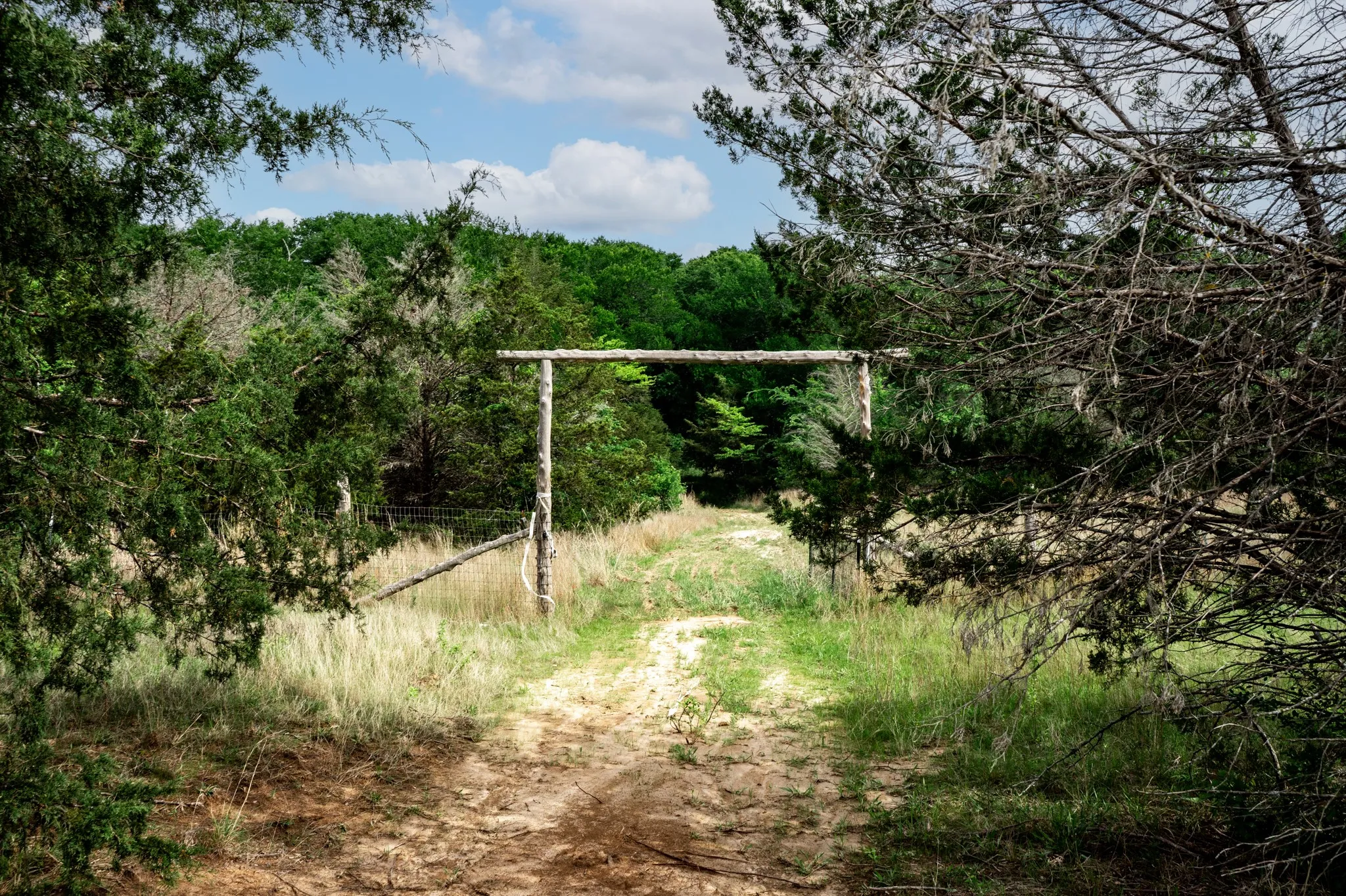 Unimproved Land For Sale in Hunt County , 000 FM 2101, Quinlan, Texas 75474, 0, 0, Garage spaces, 0 Sqft, built in 0, mls#21246899, Real Estate Agent in Quinlan, Homes For Sale in Hunt county, Homes For Sale in Quinlan, Realtor in Quinlan Texas, Real Estate Brokerage Independent Realty Texas, Luminita Cordes Realtor