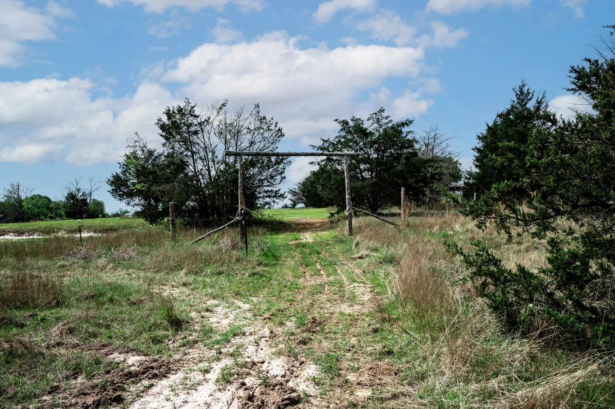 Unimproved Land For Sale in Hunt County , 000 FM 2101, Quinlan, Texas 75474, 0, 0, Garage spaces, 0 Sqft, built in 0, mls#21246899, Real Estate Agent in Quinlan, Homes For Sale in Hunt county, Homes For Sale in Quinlan, Realtor in Quinlan Texas, Real Estate Brokerage Independent Realty Texas, Luminita Cordes Realtor