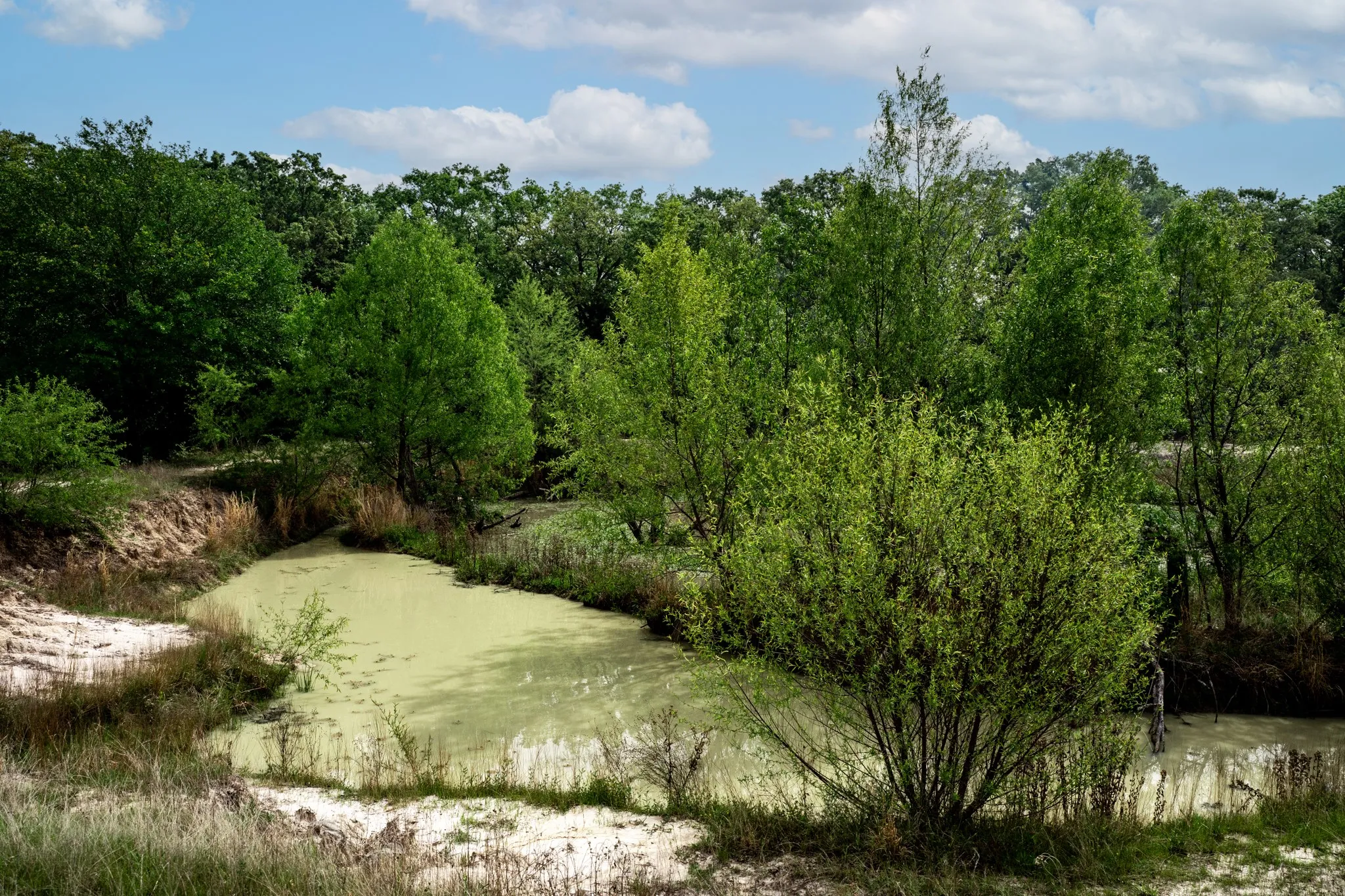 Unimproved Land For Sale in Hunt County , 000 FM 2101, Quinlan, Texas 75474, 0, 0, Garage spaces, 0 Sqft, built in 0, mls#21246899, Real Estate Agent in Quinlan, Homes For Sale in Hunt county, Homes For Sale in Quinlan, Realtor in Quinlan Texas, Real Estate Brokerage Independent Realty Texas, Luminita Cordes Realtor