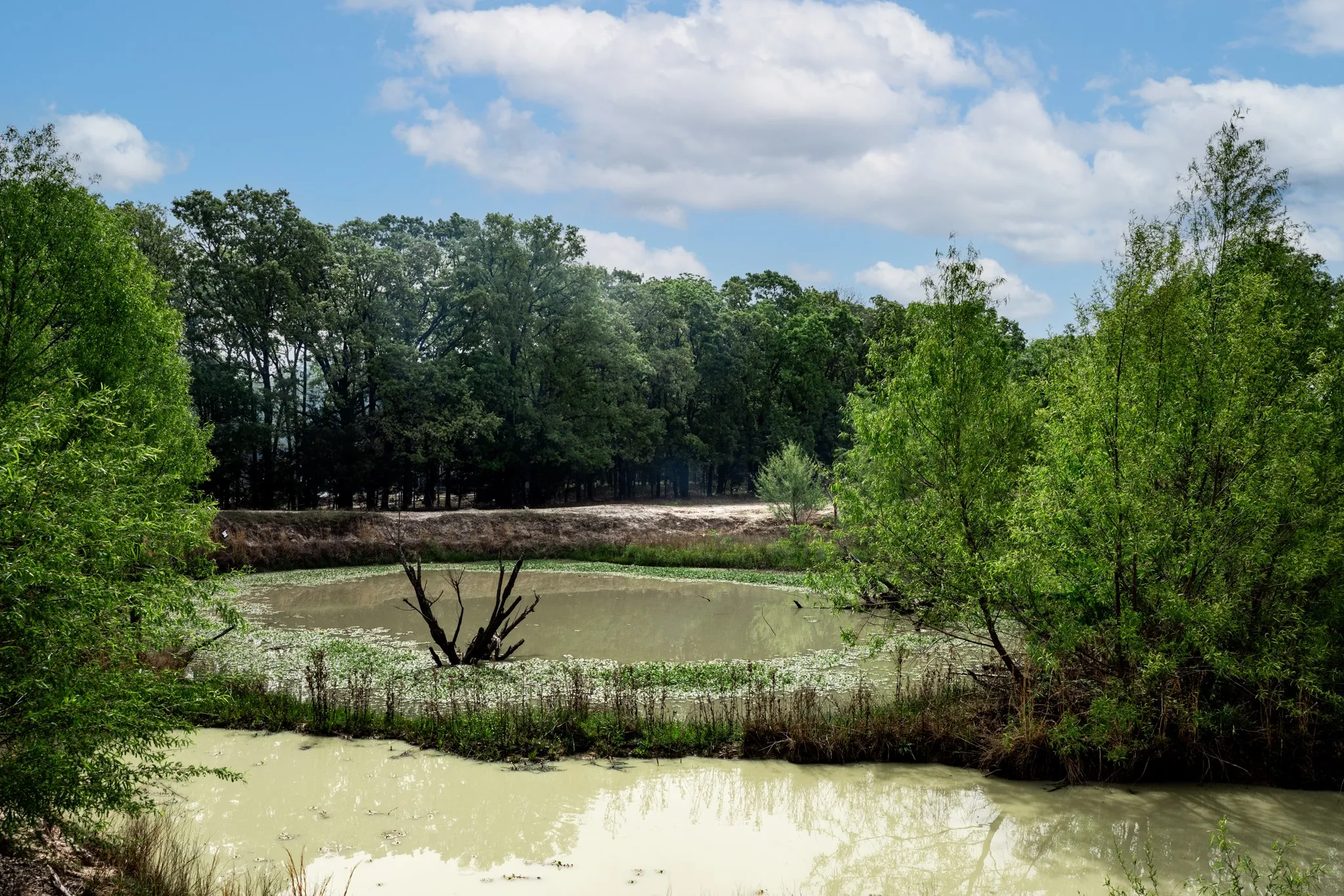 Unimproved Land For Sale in Hunt County , 000 FM 2101, Quinlan, Texas 75474, 0, 0, Garage spaces, 0 Sqft, built in 0, mls#21246899, Real Estate Agent in Quinlan, Homes For Sale in Hunt county, Homes For Sale in Quinlan, Realtor in Quinlan Texas, Real Estate Brokerage Independent Realty Texas, Luminita Cordes Realtor