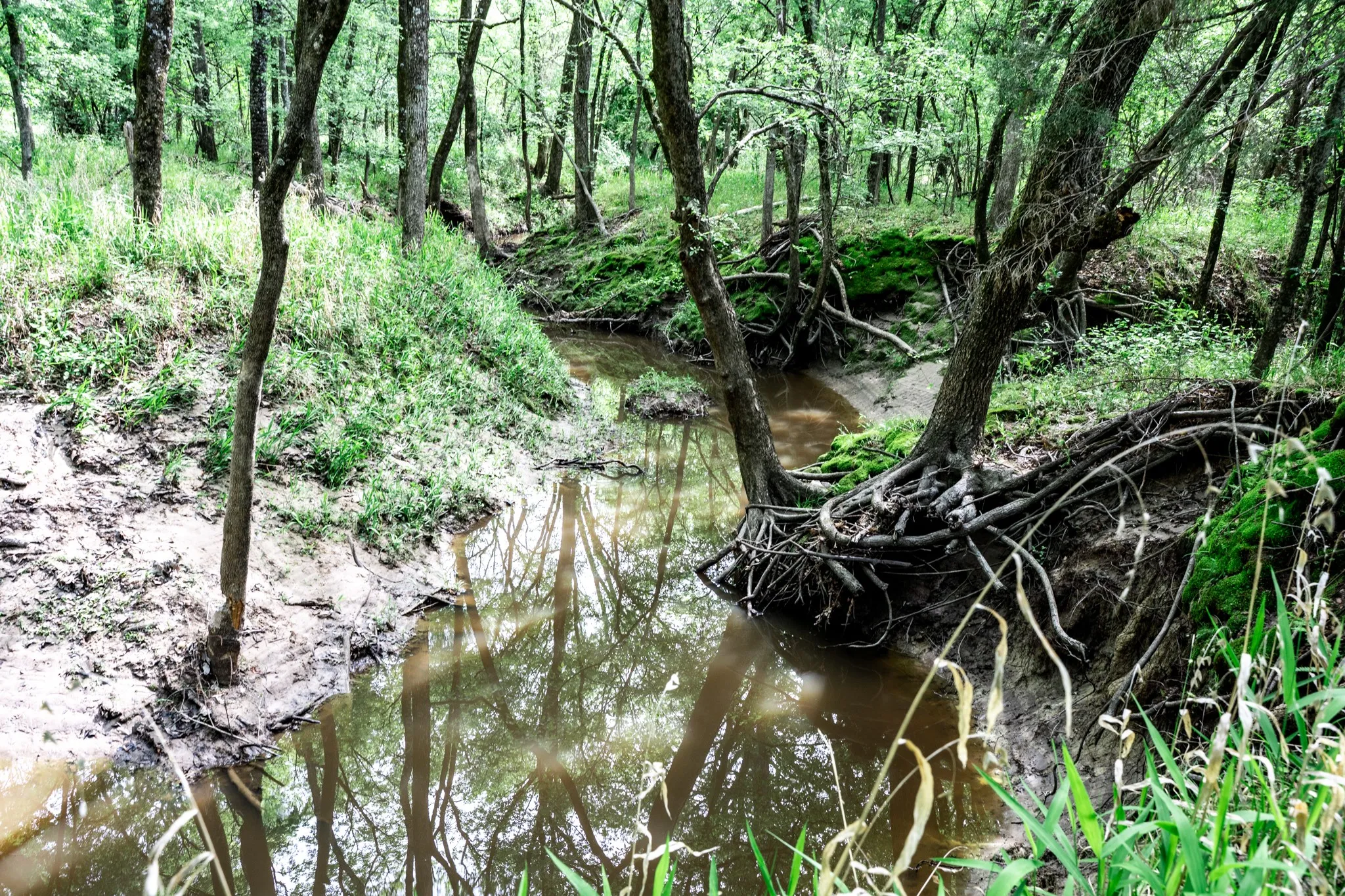 Unimproved Land For Sale in Hunt County , 000 FM 2101, Quinlan, Texas 75474, 0, 0, Garage spaces, 0 Sqft, built in 0, mls#21246899, Real Estate Agent in Quinlan, Homes For Sale in Hunt county, Homes For Sale in Quinlan, Realtor in Quinlan Texas, Real Estate Brokerage Independent Realty Texas, Luminita Cordes Realtor