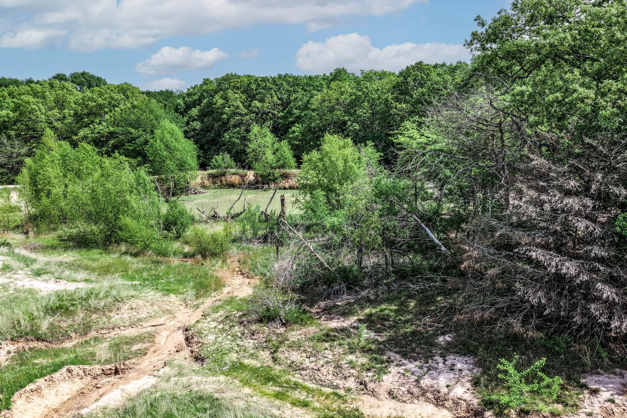 Unimproved Land For Sale in Hunt County , 000 FM 2101, Quinlan, Texas 75474, 0, 0, Garage spaces, 0 Sqft, built in 0, mls#21246899, Real Estate Agent in Quinlan, Homes For Sale in Hunt county, Homes For Sale in Quinlan, Realtor in Quinlan Texas, Real Estate Brokerage Independent Realty Texas, Luminita Cordes Realtor