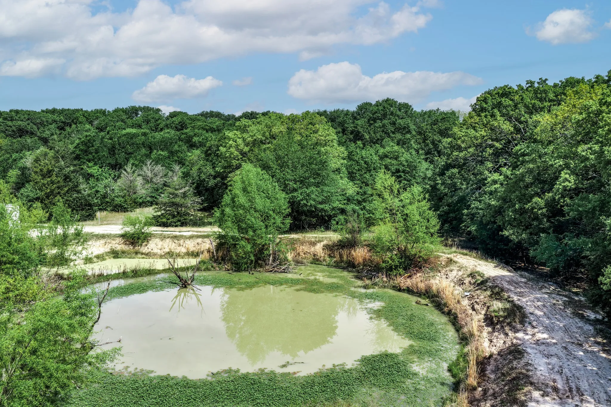 Unimproved Land For Sale in Hunt County , 000 FM 2101, Quinlan, Texas 75474, 0, 0, Garage spaces, 0 Sqft, built in 0, mls#21246899, Real Estate Agent in Quinlan, Homes For Sale in Hunt county, Homes For Sale in Quinlan, Realtor in Quinlan Texas, Real Estate Brokerage Independent Realty Texas, Luminita Cordes Realtor
