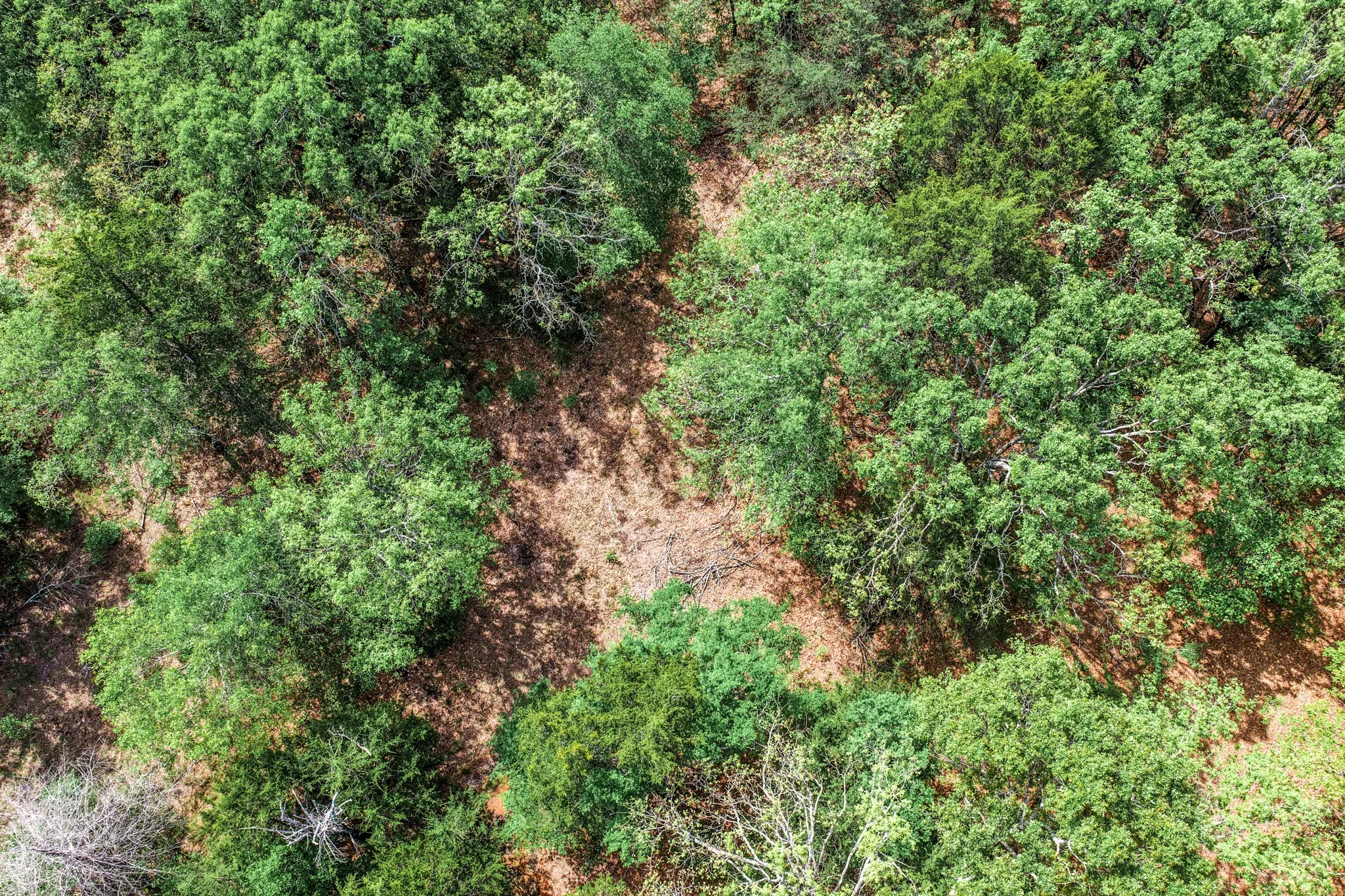 Unimproved Land For Sale in Hunt County , 000 FM 2101, Quinlan, Texas 75474, 0, 0, Garage spaces, 0 Sqft, built in 0, mls#21246899, Real Estate Agent in Quinlan, Homes For Sale in Hunt county, Homes For Sale in Quinlan, Realtor in Quinlan Texas, Real Estate Brokerage Independent Realty Texas, Luminita Cordes Realtor