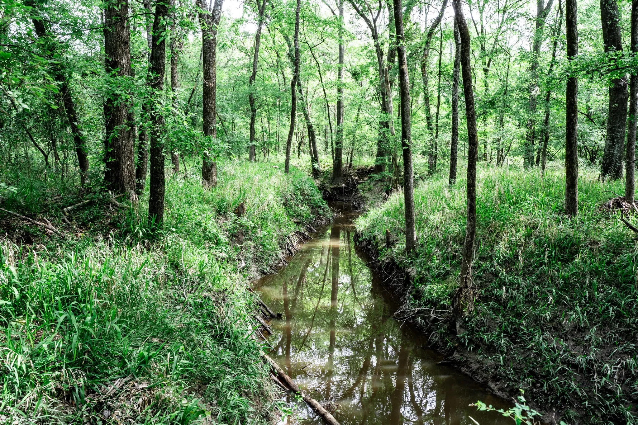 Unimproved Land For Sale in Hunt County , 000 FM 2101, Quinlan, Texas 75474, 0, 0, Garage spaces, 0 Sqft, built in 0, mls#21246899, Real Estate Agent in Quinlan, Homes For Sale in Hunt county, Homes For Sale in Quinlan, Realtor in Quinlan Texas, Real Estate Brokerage Independent Realty Texas, Luminita Cordes Realtor