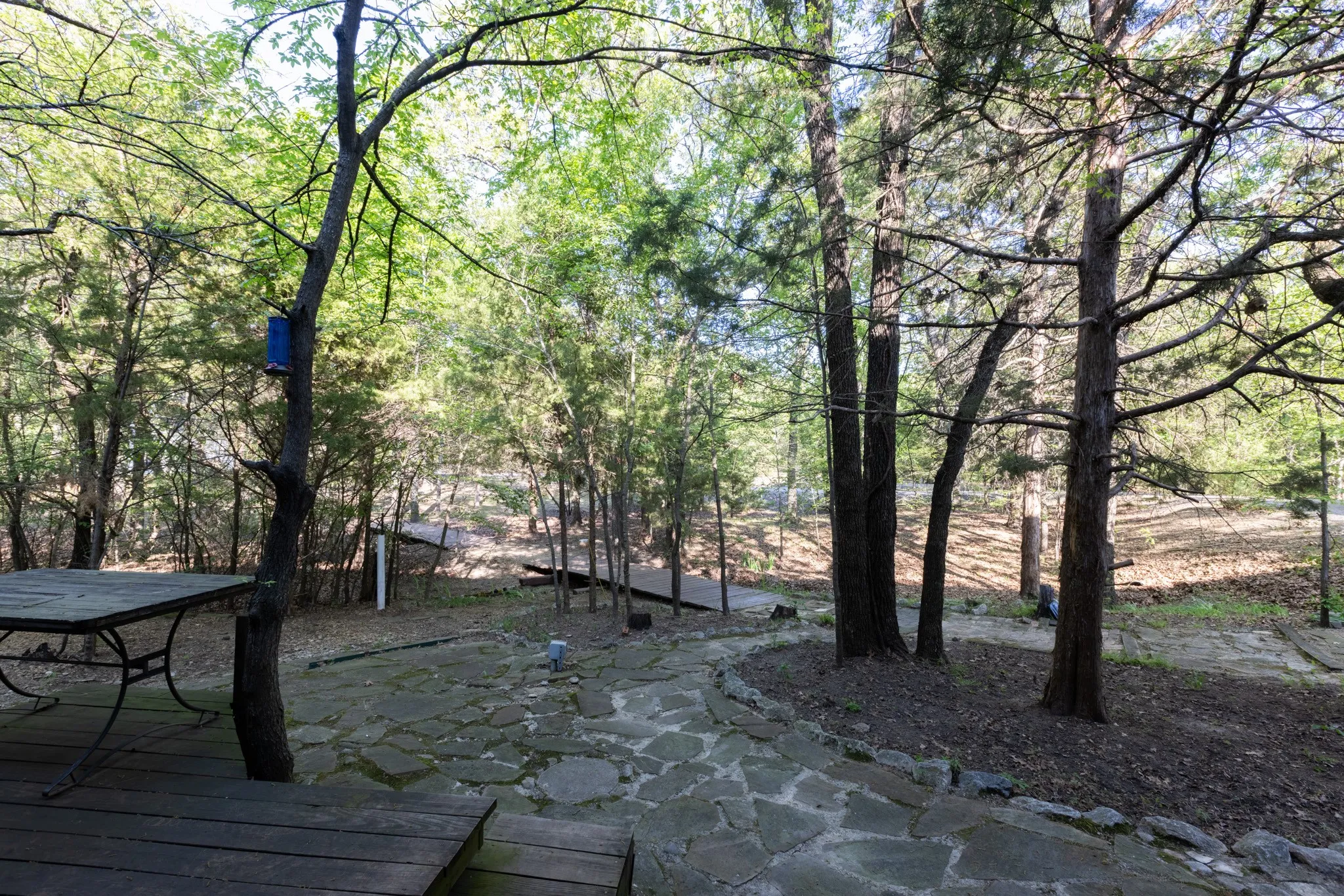 Beautiful treed and fenced 4.23 acres!
