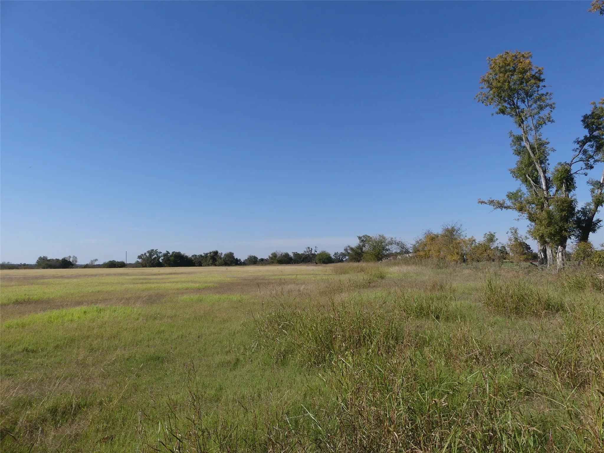 Unimproved Land For Sale in Montague County , 0001 Farm Market 1749, Forestburg, Texas 76239, 0, 0, Garage spaces, 0 Sqft, built in 0, Price $450,000, mls#21250823, Real Estate Agent in Forestburg, Homes For Sale in Montague county, Homes For Sale in Forestburg, Realtor in Forestburg Texas, Real Estate Brokerage Independent Realty Texas, Luminita Cordes Realtor