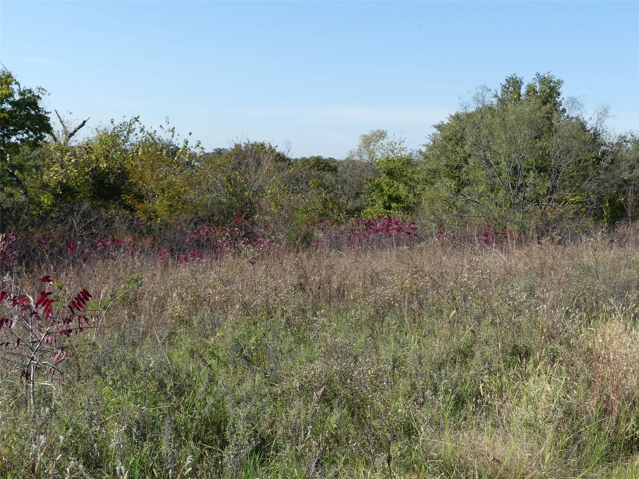 Unimproved Land For Sale in Montague County , 0001 Farm Market 1749, Forestburg, Texas 76239, 0, 0, Garage spaces, 0 Sqft, built in 0, Price $450,000, mls#21250823, Real Estate Agent in Forestburg, Homes For Sale in Montague county, Homes For Sale in Forestburg, Realtor in Forestburg Texas, Real Estate Brokerage Independent Realty Texas, Luminita Cordes Realtor