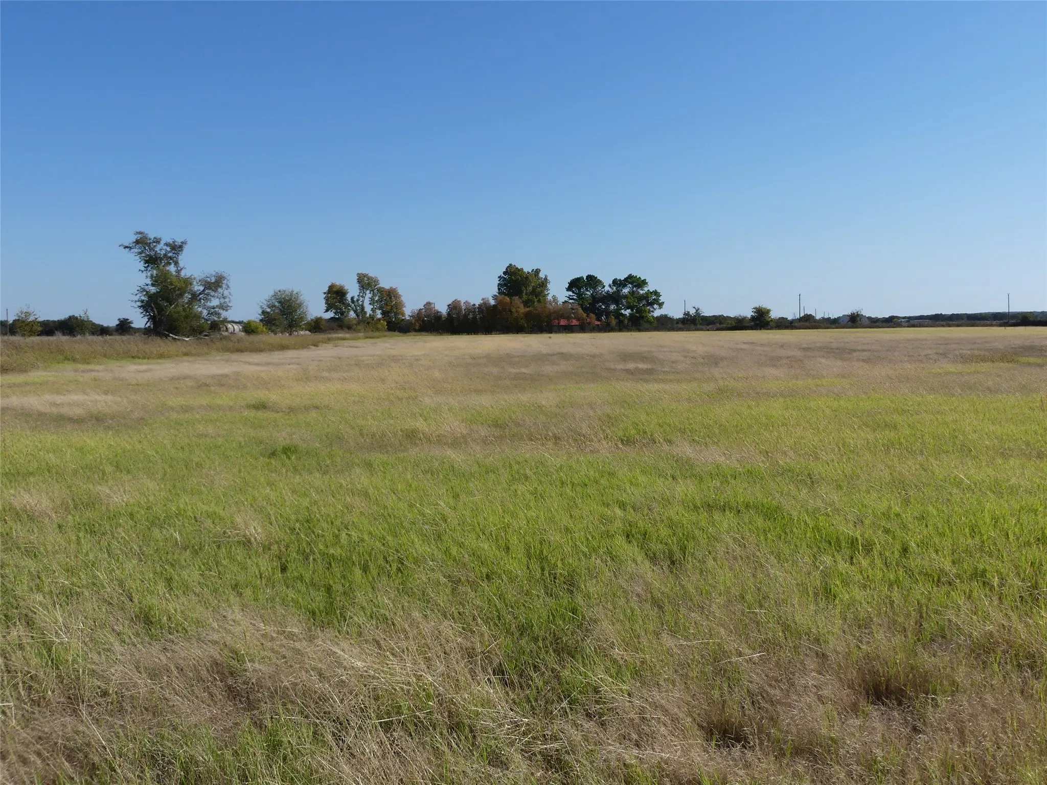 Unimproved Land For Sale in Montague County , 0001 Farm Market 1749, Forestburg, Texas 76239, 0, 0, Garage spaces, 0 Sqft, built in 0, Price $450,000, mls#21250823, Real Estate Agent in Forestburg, Homes For Sale in Montague county, Homes For Sale in Forestburg, Realtor in Forestburg Texas, Real Estate Brokerage Independent Realty Texas, Luminita Cordes Realtor