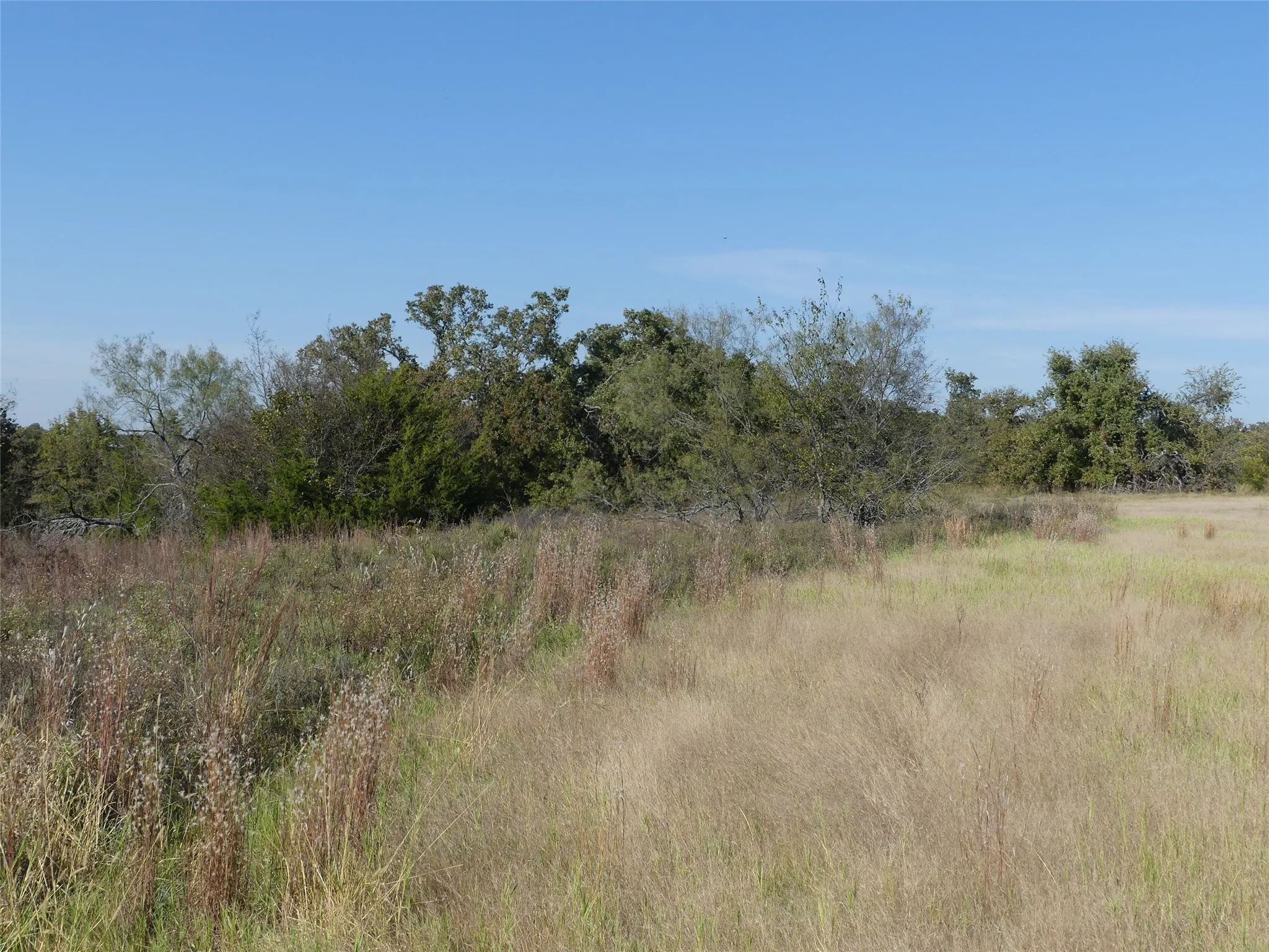 Unimproved Land For Sale in Montague County , 0001 Farm Market 1749, Forestburg, Texas 76239, 0, 0, Garage spaces, 0 Sqft, built in 0, Price $450,000, mls#21250823, Real Estate Agent in Forestburg, Homes For Sale in Montague county, Homes For Sale in Forestburg, Realtor in Forestburg Texas, Real Estate Brokerage Independent Realty Texas, Luminita Cordes Realtor