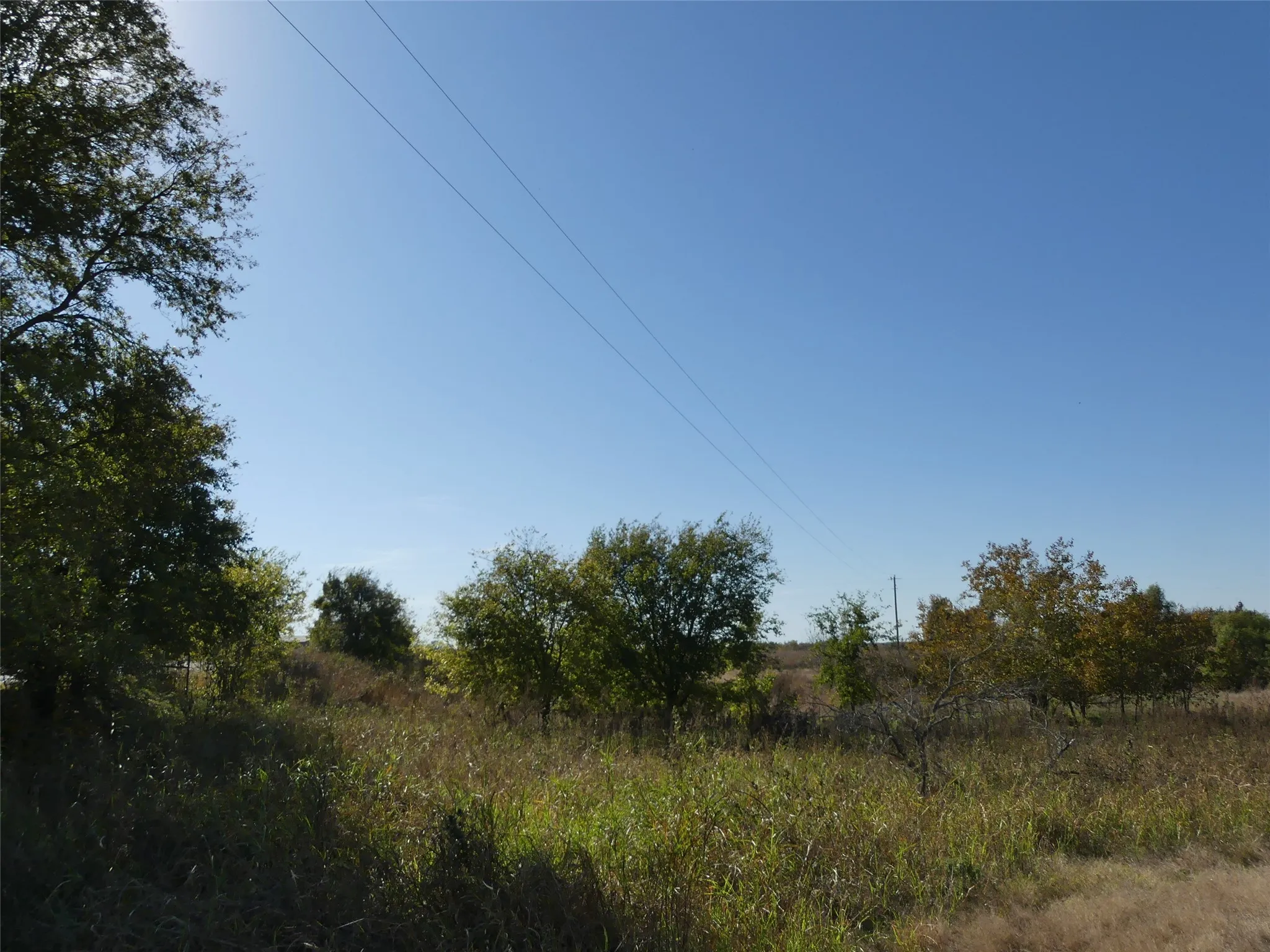 Unimproved Land For Sale in Montague County , 0001 Farm Market 1749, Forestburg, Texas 76239, 0, 0, Garage spaces, 0 Sqft, built in 0, Price $450,000, mls#21250823, Real Estate Agent in Forestburg, Homes For Sale in Montague county, Homes For Sale in Forestburg, Realtor in Forestburg Texas, Real Estate Brokerage Independent Realty Texas, Luminita Cordes Realtor