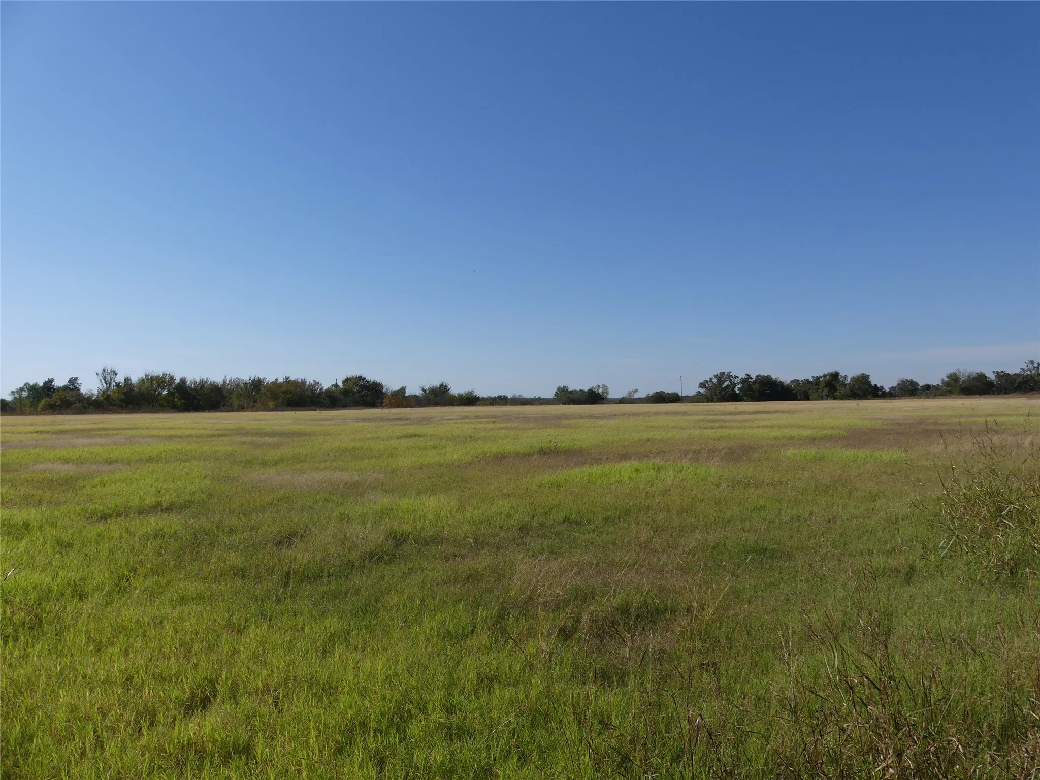 Unimproved Land For Sale in Montague County , 0001 Farm Market 1749, Forestburg, Texas 76239, 0, 0, Garage spaces, 0 Sqft, built in 0, Price $450,000, mls#21250823, Real Estate Agent in Forestburg, Homes For Sale in Montague county, Homes For Sale in Forestburg, Realtor in Forestburg Texas, Real Estate Brokerage Independent Realty Texas, Luminita Cordes Realtor