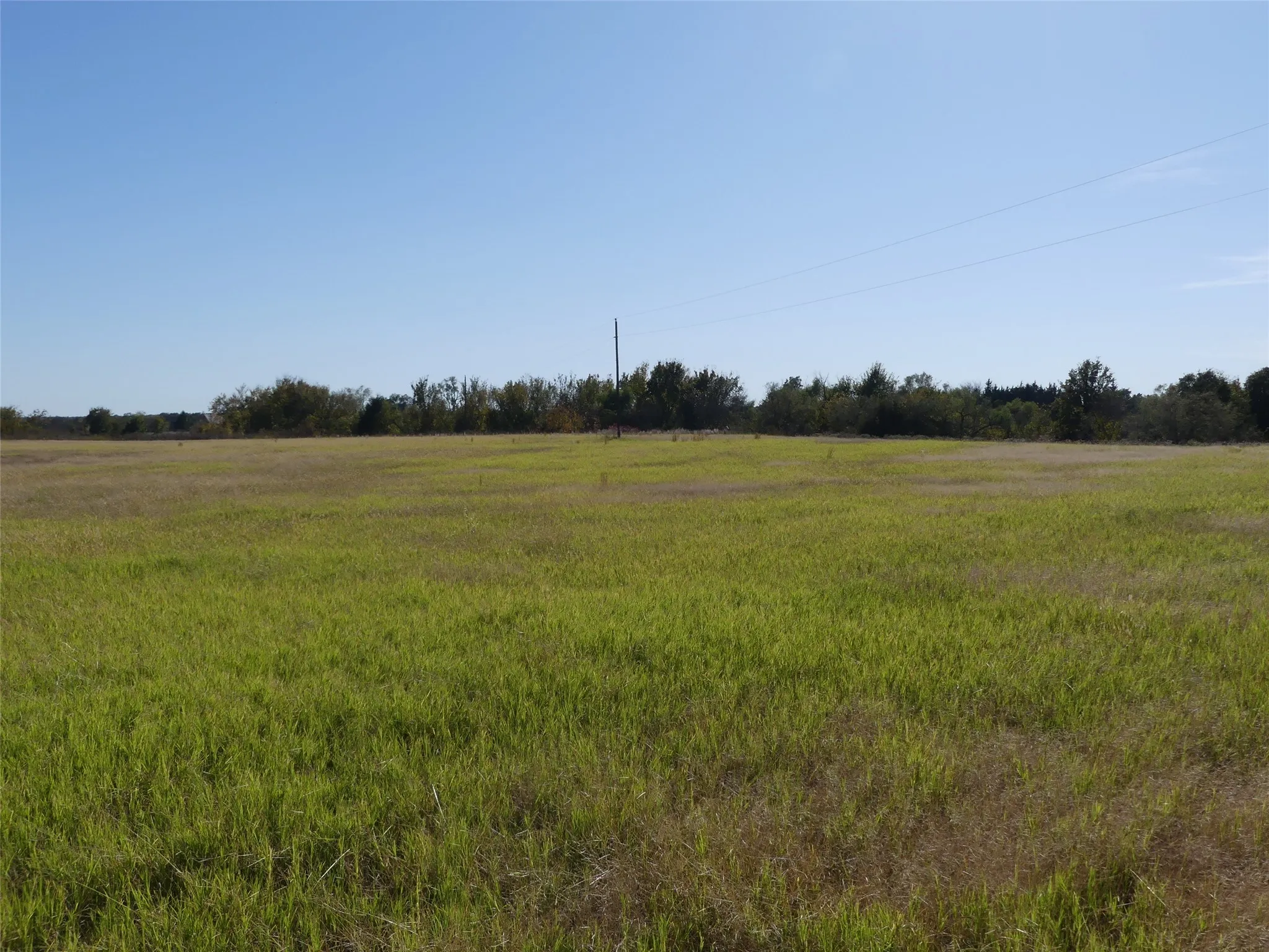 Unimproved Land For Sale in Montague County , 0001 Farm Market 1749, Forestburg, Texas 76239, 0, 0, Garage spaces, 0 Sqft, built in 0, Price $450,000, mls#21250823, Real Estate Agent in Forestburg, Homes For Sale in Montague county, Homes For Sale in Forestburg, Realtor in Forestburg Texas, Real Estate Brokerage Independent Realty Texas, Luminita Cordes Realtor