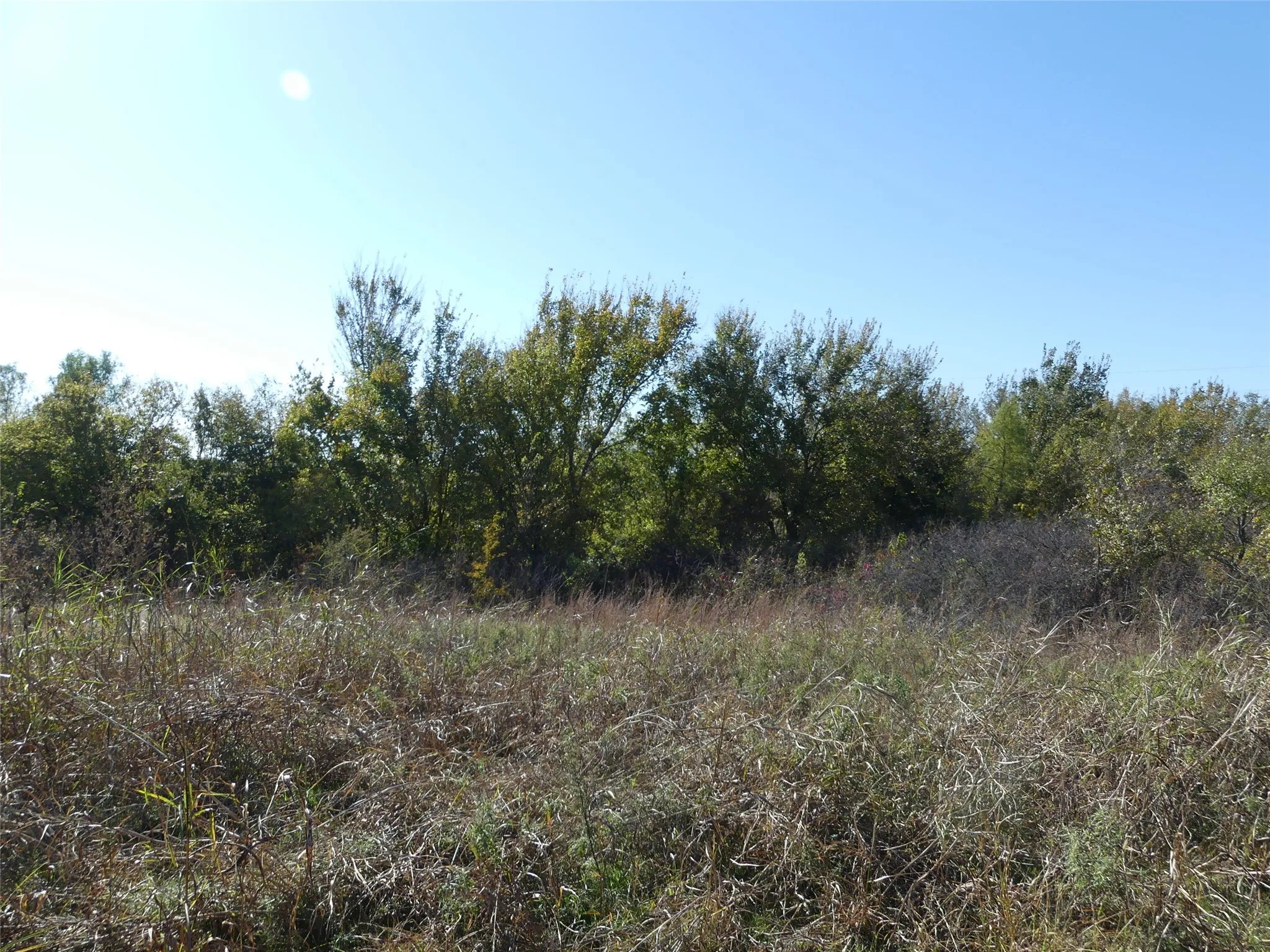 Unimproved Land For Sale in Montague County , 0001 Farm Market 1749, Forestburg, Texas 76239, 0, 0, Garage spaces, 0 Sqft, built in 0, Price $450,000, mls#21250823, Real Estate Agent in Forestburg, Homes For Sale in Montague county, Homes For Sale in Forestburg, Realtor in Forestburg Texas, Real Estate Brokerage Independent Realty Texas, Luminita Cordes Realtor