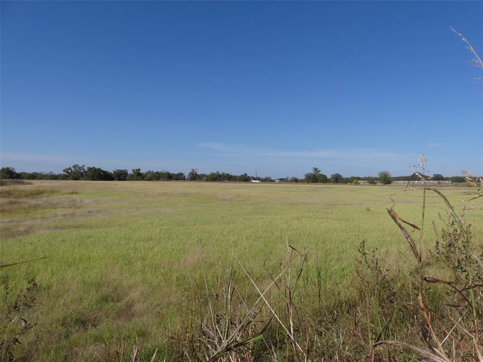 Unimproved Land For Sale in Montague County , 0001 Farm Market 1749, Forestburg, Texas 76239, 0, 0, Garage spaces, 0 Sqft, built in 0, Price $450,000, mls#21250823, Real Estate Agent in Forestburg, Homes For Sale in Montague county, Homes For Sale in Forestburg, Realtor in Forestburg Texas, Real Estate Brokerage Independent Realty Texas, Luminita Cordes Realtor