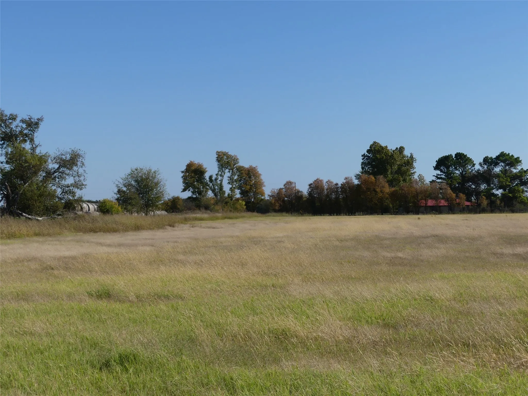 Unimproved Land For Sale in Montague County , 0001 Farm Market 1749, Forestburg, Texas 76239, 0, 0, Garage spaces, 0 Sqft, built in 0, Price $450,000, mls#21250823, Real Estate Agent in Forestburg, Homes For Sale in Montague county, Homes For Sale in Forestburg, Realtor in Forestburg Texas, Real Estate Brokerage Independent Realty Texas, Luminita Cordes Realtor