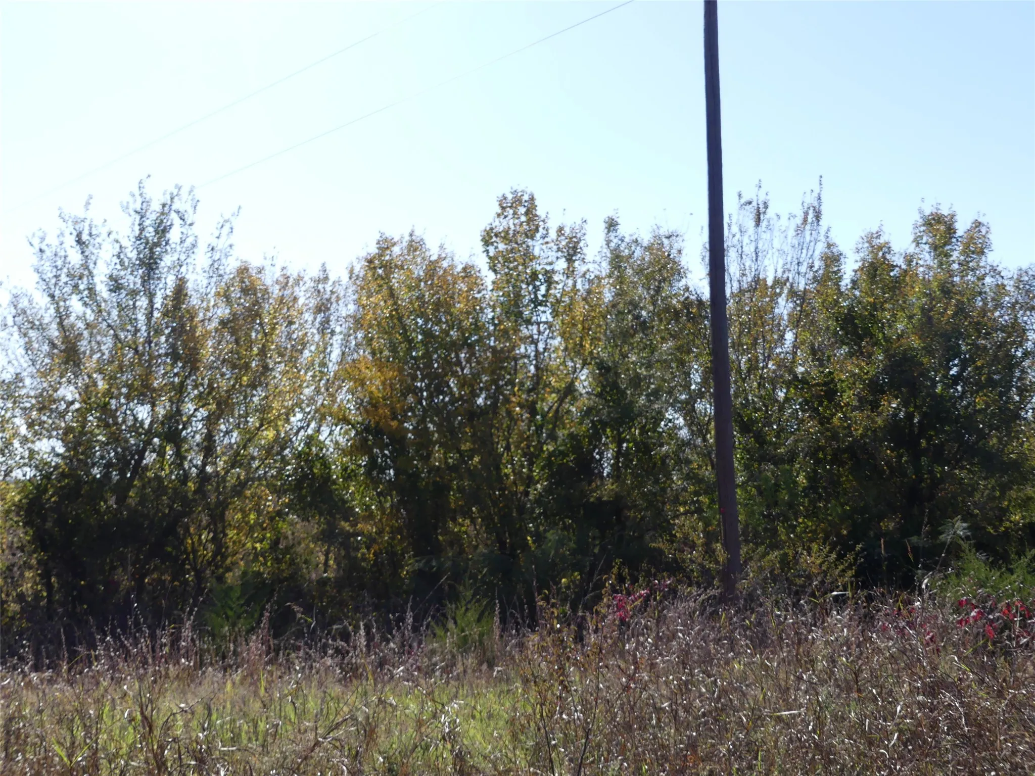 Unimproved Land For Sale in Montague County , 0001 Farm Market 1749, Forestburg, Texas 76239, 0, 0, Garage spaces, 0 Sqft, built in 0, Price $450,000, mls#21250823, Real Estate Agent in Forestburg, Homes For Sale in Montague county, Homes For Sale in Forestburg, Realtor in Forestburg Texas, Real Estate Brokerage Independent Realty Texas, Luminita Cordes Realtor