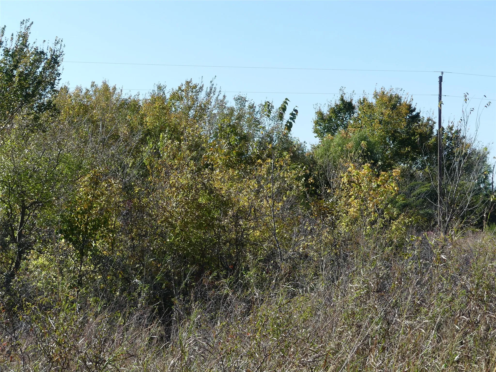 Unimproved Land For Sale in Montague County , 0001 Farm Market 1749, Forestburg, Texas 76239, 0, 0, Garage spaces, 0 Sqft, built in 0, Price $450,000, mls#21250823, Real Estate Agent in Forestburg, Homes For Sale in Montague county, Homes For Sale in Forestburg, Realtor in Forestburg Texas, Real Estate Brokerage Independent Realty Texas, Luminita Cordes Realtor