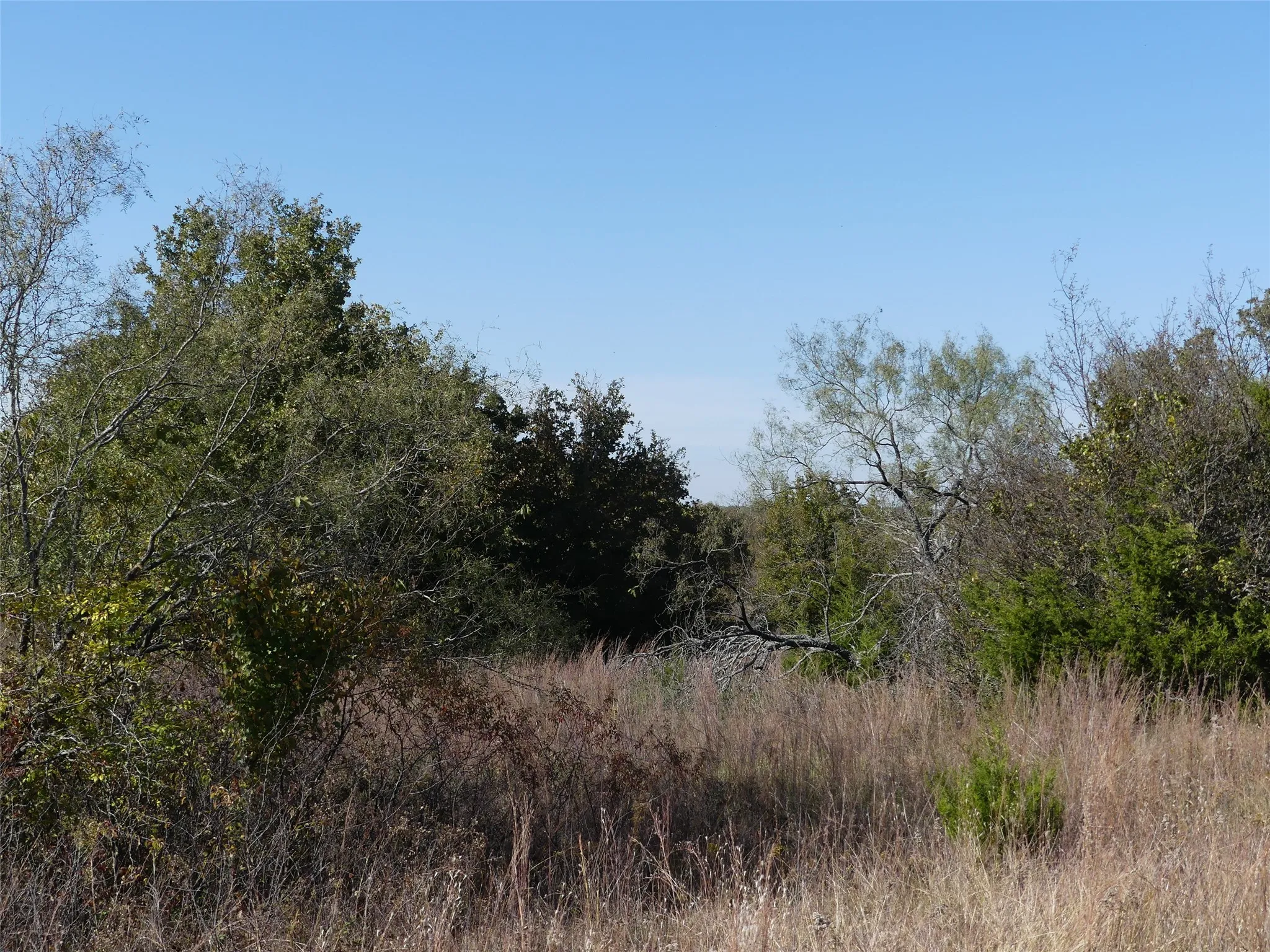 Unimproved Land For Sale in Montague County , 0001 Farm Market 1749, Forestburg, Texas 76239, 0, 0, Garage spaces, 0 Sqft, built in 0, Price $450,000, mls#21250823, Real Estate Agent in Forestburg, Homes For Sale in Montague county, Homes For Sale in Forestburg, Realtor in Forestburg Texas, Real Estate Brokerage Independent Realty Texas, Luminita Cordes Realtor