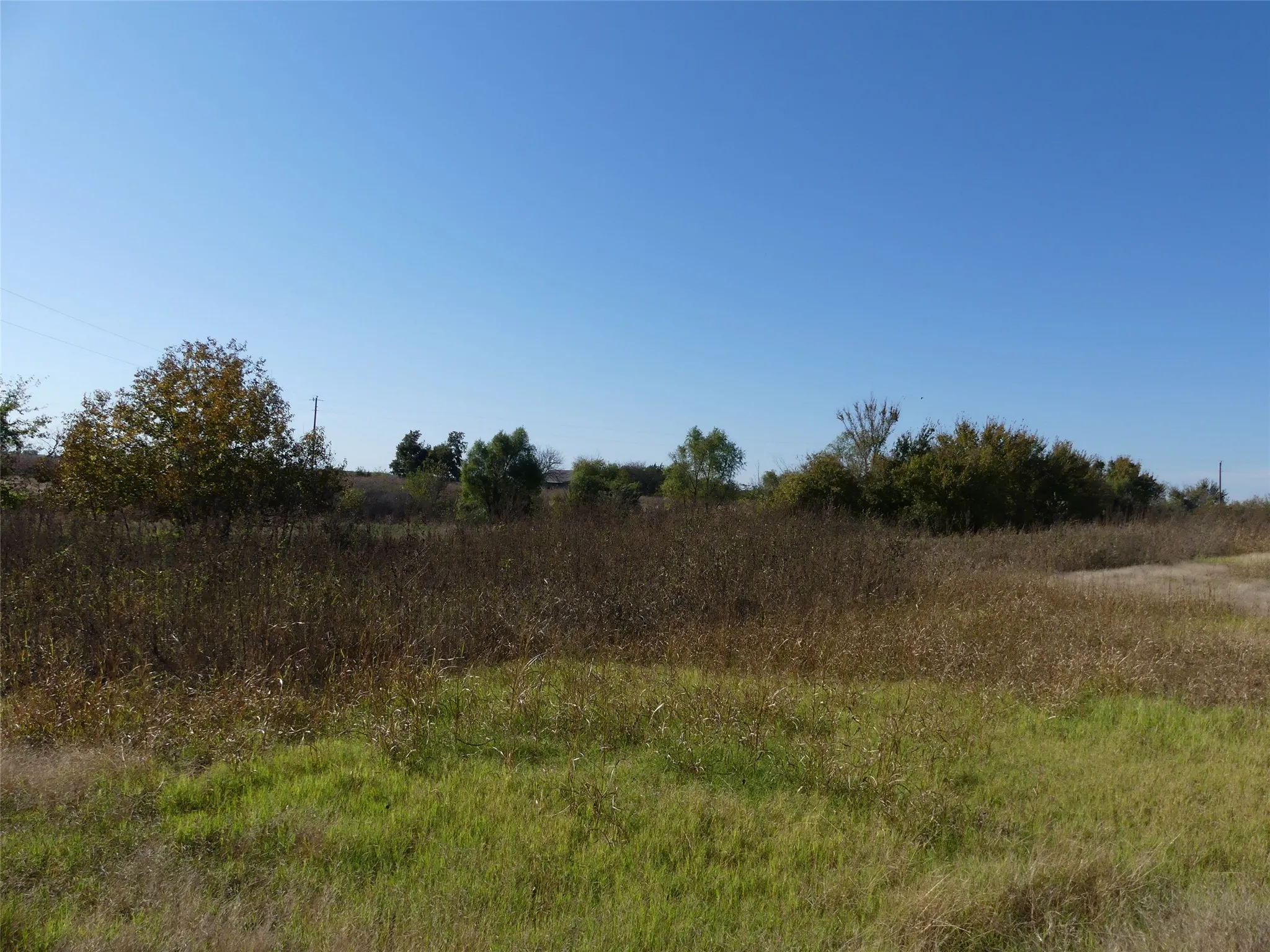 Unimproved Land For Sale in Montague County , 0001 Farm Market 1749, Forestburg, Texas 76239, 0, 0, Garage spaces, 0 Sqft, built in 0, Price $450,000, mls#21250823, Real Estate Agent in Forestburg, Homes For Sale in Montague county, Homes For Sale in Forestburg, Realtor in Forestburg Texas, Real Estate Brokerage Independent Realty Texas, Luminita Cordes Realtor