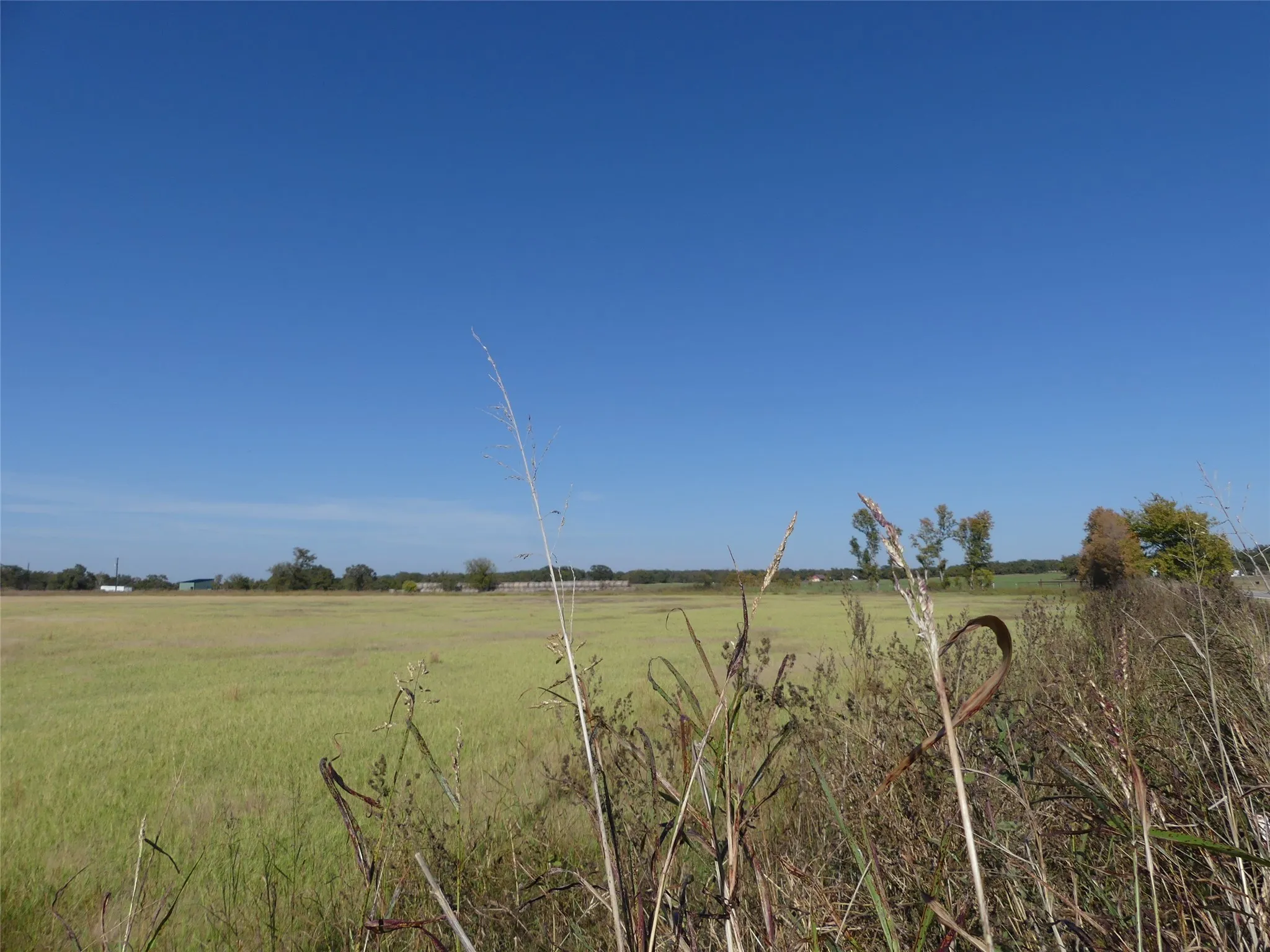 Unimproved Land For Sale in Montague County , 0001 Farm Market 1749, Forestburg, Texas 76239, 0, 0, Garage spaces, 0 Sqft, built in 0, Price $450,000, mls#21250823, Real Estate Agent in Forestburg, Homes For Sale in Montague county, Homes For Sale in Forestburg, Realtor in Forestburg Texas, Real Estate Brokerage Independent Realty Texas, Luminita Cordes Realtor