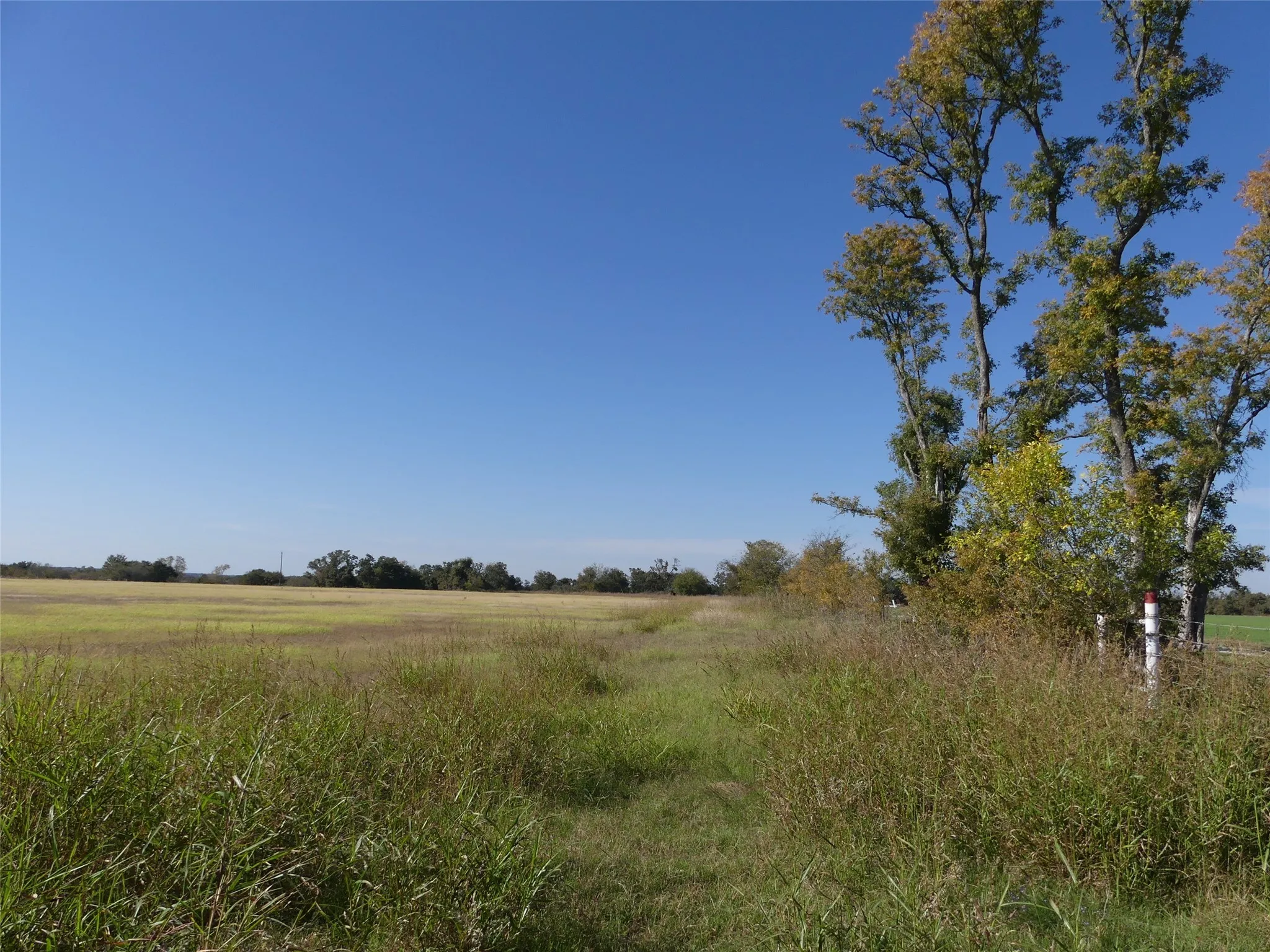 Unimproved Land For Sale in Montague County , 0001 Farm Market 1749, Forestburg, Texas 76239, 0, 0, Garage spaces, 0 Sqft, built in 0, Price $450,000, mls#21250823, Real Estate Agent in Forestburg, Homes For Sale in Montague county, Homes For Sale in Forestburg, Realtor in Forestburg Texas, Real Estate Brokerage Independent Realty Texas, Luminita Cordes Realtor