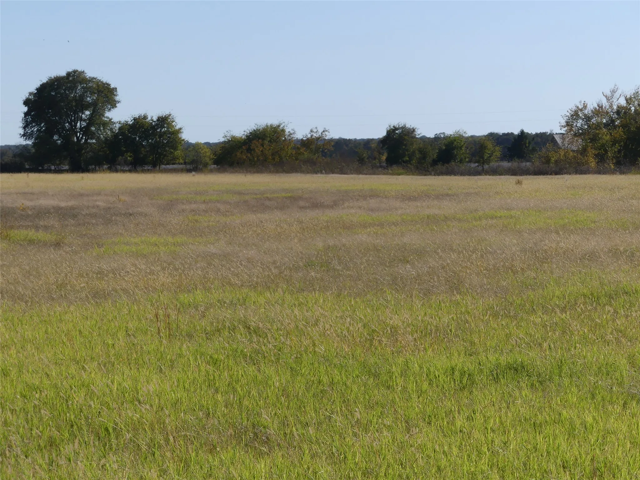 Unimproved Land For Sale in Montague County , 0001 Farm Market 1749, Forestburg, Texas 76239, 0, 0, Garage spaces, 0 Sqft, built in 0, Price $450,000, mls#21250823, Real Estate Agent in Forestburg, Homes For Sale in Montague county, Homes For Sale in Forestburg, Realtor in Forestburg Texas, Real Estate Brokerage Independent Realty Texas, Luminita Cordes Realtor