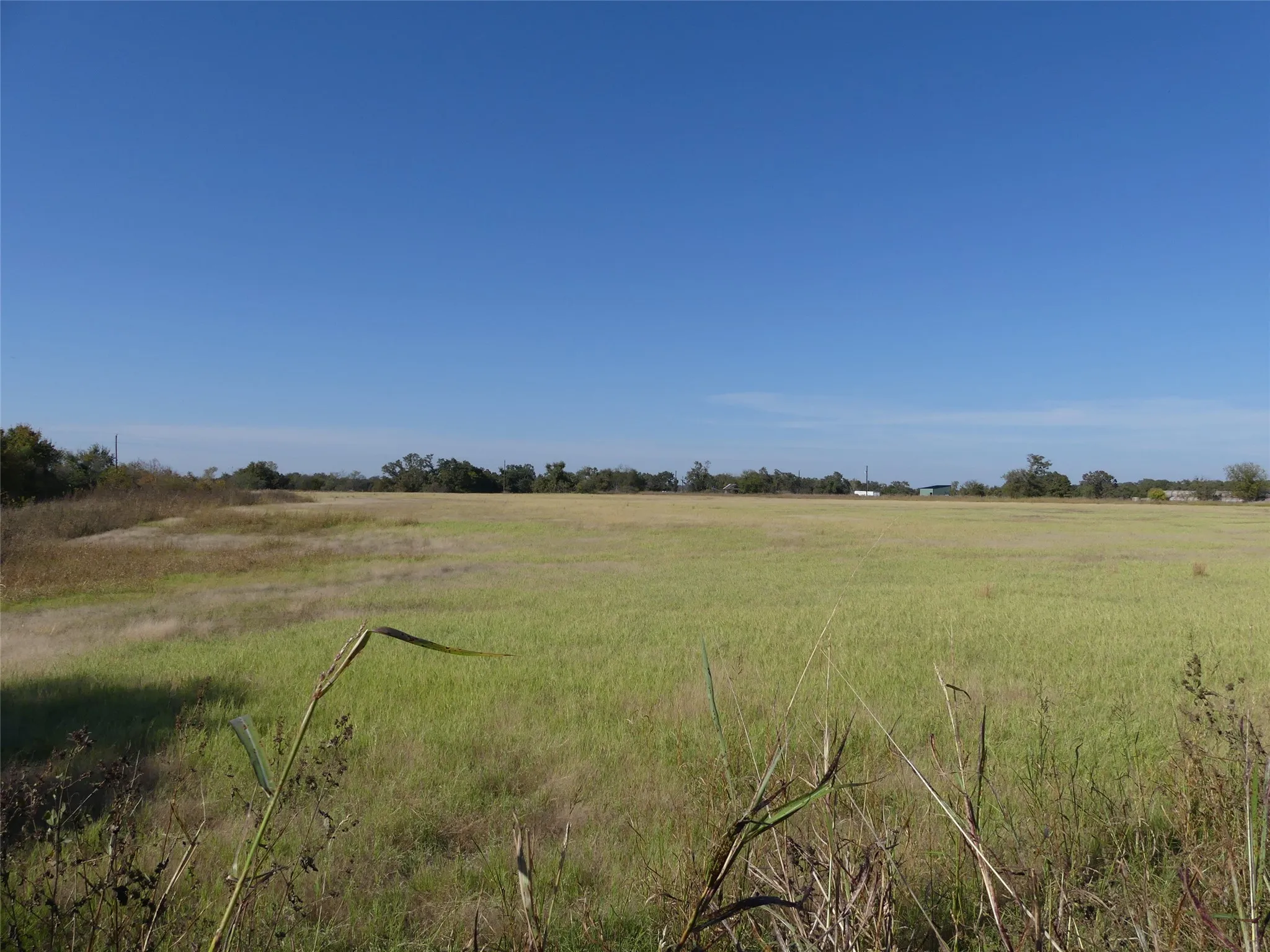 Unimproved Land For Sale in Montague County , 0001 Farm Market 1749, Forestburg, Texas 76239, 0, 0, Garage spaces, 0 Sqft, built in 0, Price $450,000, mls#21250823, Real Estate Agent in Forestburg, Homes For Sale in Montague county, Homes For Sale in Forestburg, Realtor in Forestburg Texas, Real Estate Brokerage Independent Realty Texas, Luminita Cordes Realtor