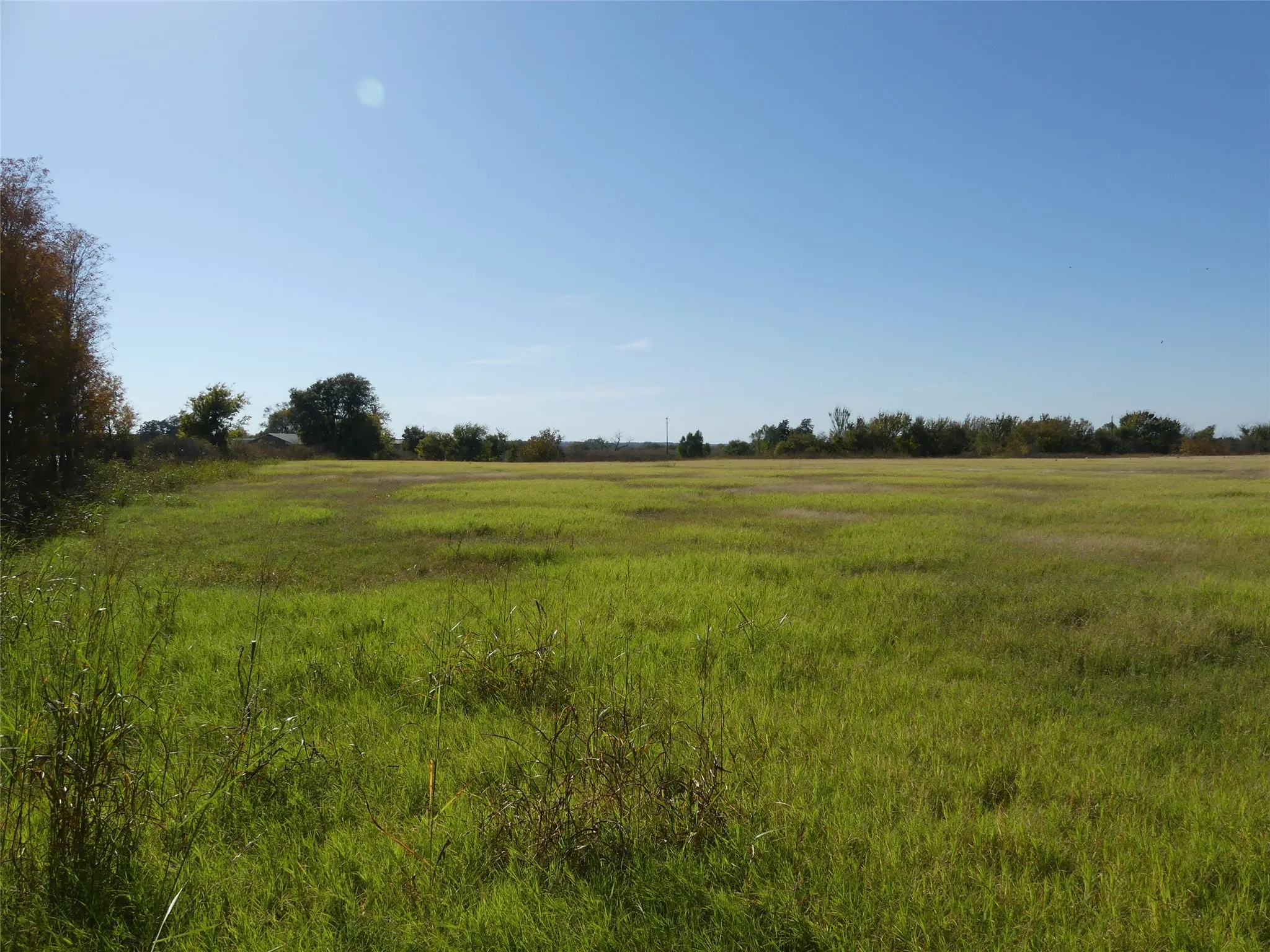 Unimproved Land For Sale in Montague County , 0001 Farm Market 1749, Forestburg, Texas 76239, 0, 0, Garage spaces, 0 Sqft, built in 0, Price $450,000, mls#21250823, Real Estate Agent in Forestburg, Homes For Sale in Montague county, Homes For Sale in Forestburg, Realtor in Forestburg Texas, Real Estate Brokerage Independent Realty Texas, Luminita Cordes Realtor