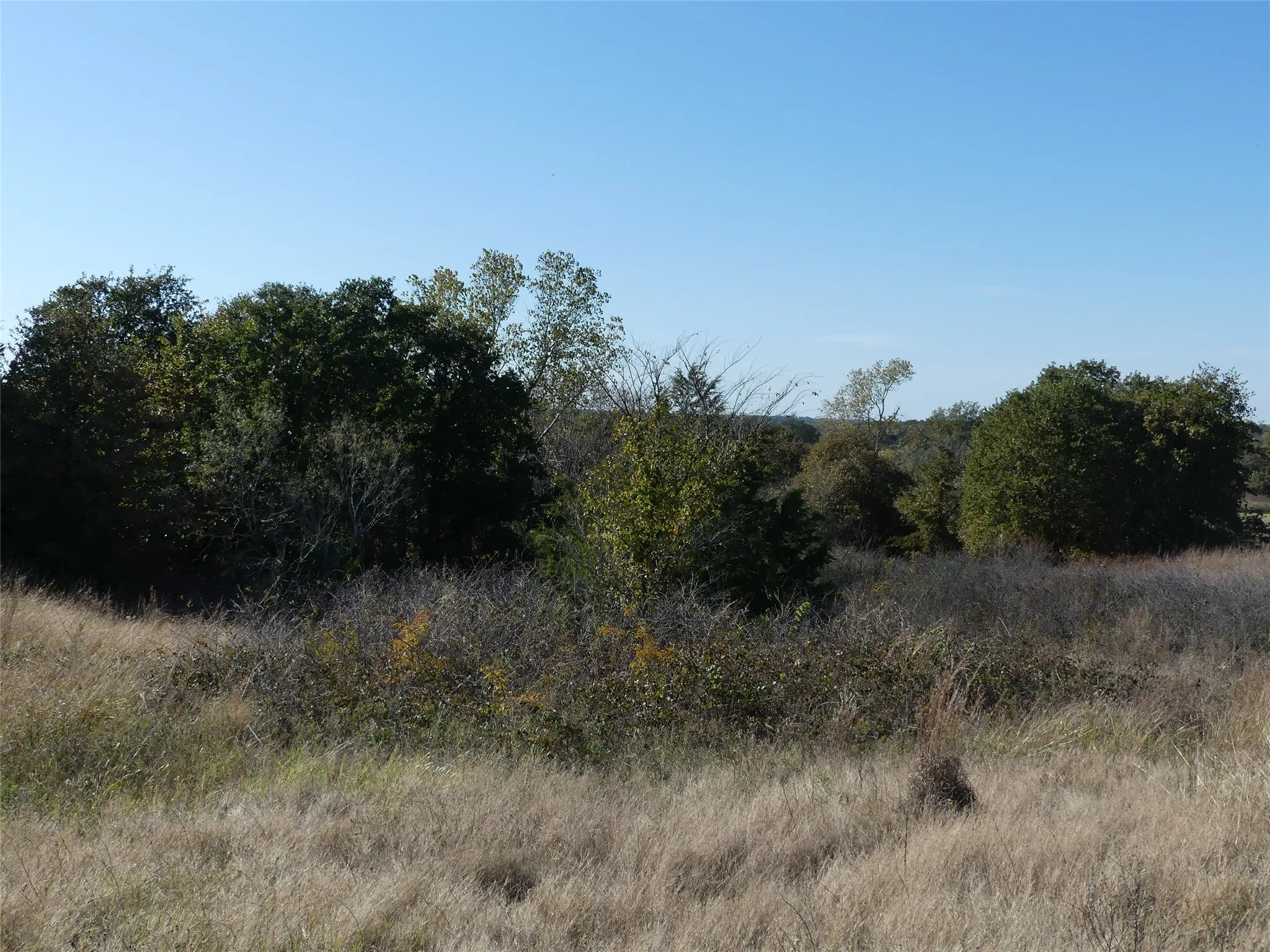 Unimproved Land For Sale in Montague County , 0001 Farm Market 1749, Forestburg, Texas 76239, 0, 0, Garage spaces, 0 Sqft, built in 0, Price $450,000, mls#21250823, Real Estate Agent in Forestburg, Homes For Sale in Montague county, Homes For Sale in Forestburg, Realtor in Forestburg Texas, Real Estate Brokerage Independent Realty Texas, Luminita Cordes Realtor