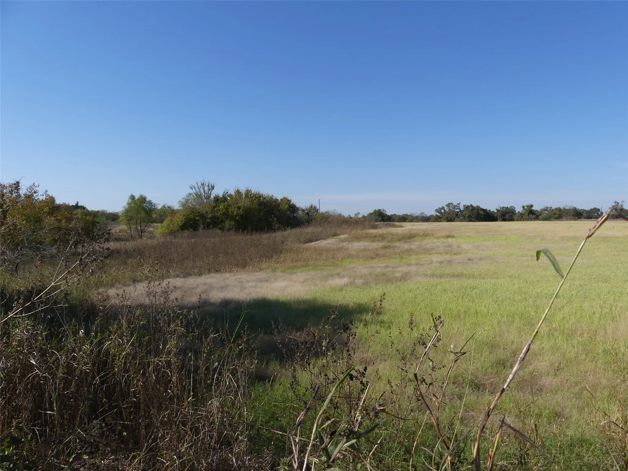 Unimproved Land For Sale in Montague County , 0001 Farm Market 1749, Forestburg, Texas 76239, 0, 0, Garage spaces, 0 Sqft, built in 0, Price $450,000, mls#21250823, Real Estate Agent in Forestburg, Homes For Sale in Montague county, Homes For Sale in Forestburg, Realtor in Forestburg Texas, Real Estate Brokerage Independent Realty Texas, Luminita Cordes Realtor