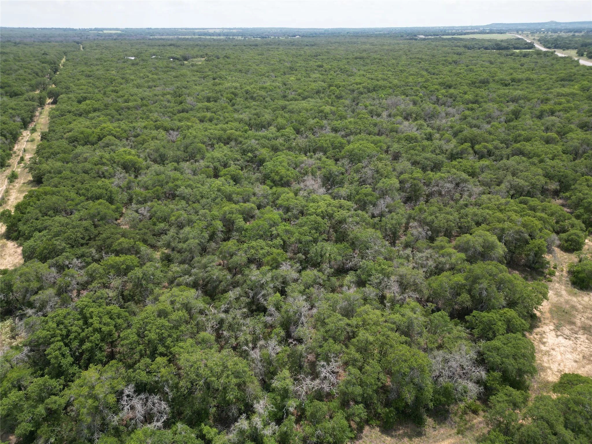 Unimproved Land For Sale in Eastland County , TBD Highway 206, Cisco, Texas 76437, 0, 0, Garage spaces, 0 Sqft, built in 0, Price $130,000, mls#21246887, Real Estate Agent in Cisco, Homes For Sale in Eastland county, Homes For Sale in Cisco, Realtor in Cisco Texas, Real Estate Brokerage Independent Realty Texas, Luminita Cordes Realtor