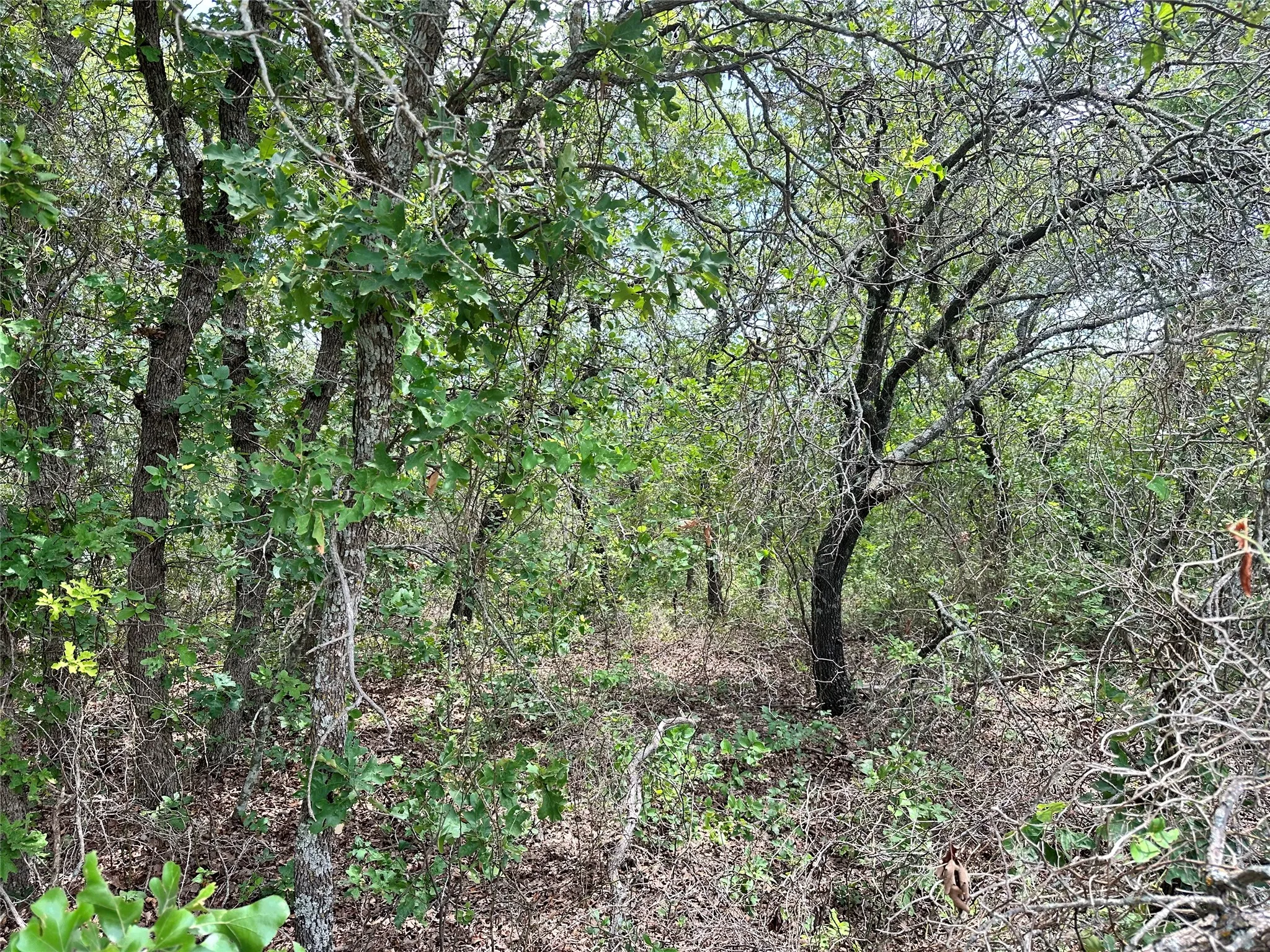 Unimproved Land For Sale in Eastland County , TBD Highway 206, Cisco, Texas 76437, 0, 0, Garage spaces, 0 Sqft, built in 0, Price $130,000, mls#21246887, Real Estate Agent in Cisco, Homes For Sale in Eastland county, Homes For Sale in Cisco, Realtor in Cisco Texas, Real Estate Brokerage Independent Realty Texas, Luminita Cordes Realtor