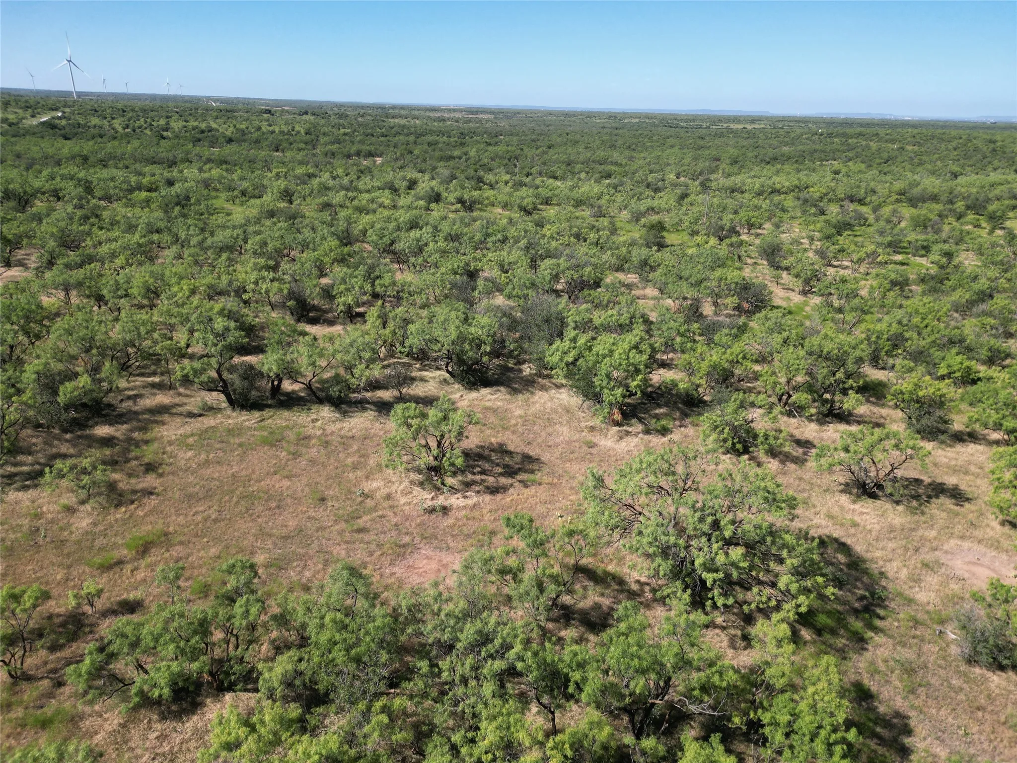 Unimproved Land For Sale in Eastland County , TBD Highway 206, Cisco, Texas 76437, 0, 0, Garage spaces, 0 Sqft, built in 0, Price $130,000, mls#21246887, Real Estate Agent in Cisco, Homes For Sale in Eastland county, Homes For Sale in Cisco, Realtor in Cisco Texas, Real Estate Brokerage Independent Realty Texas, Luminita Cordes Realtor